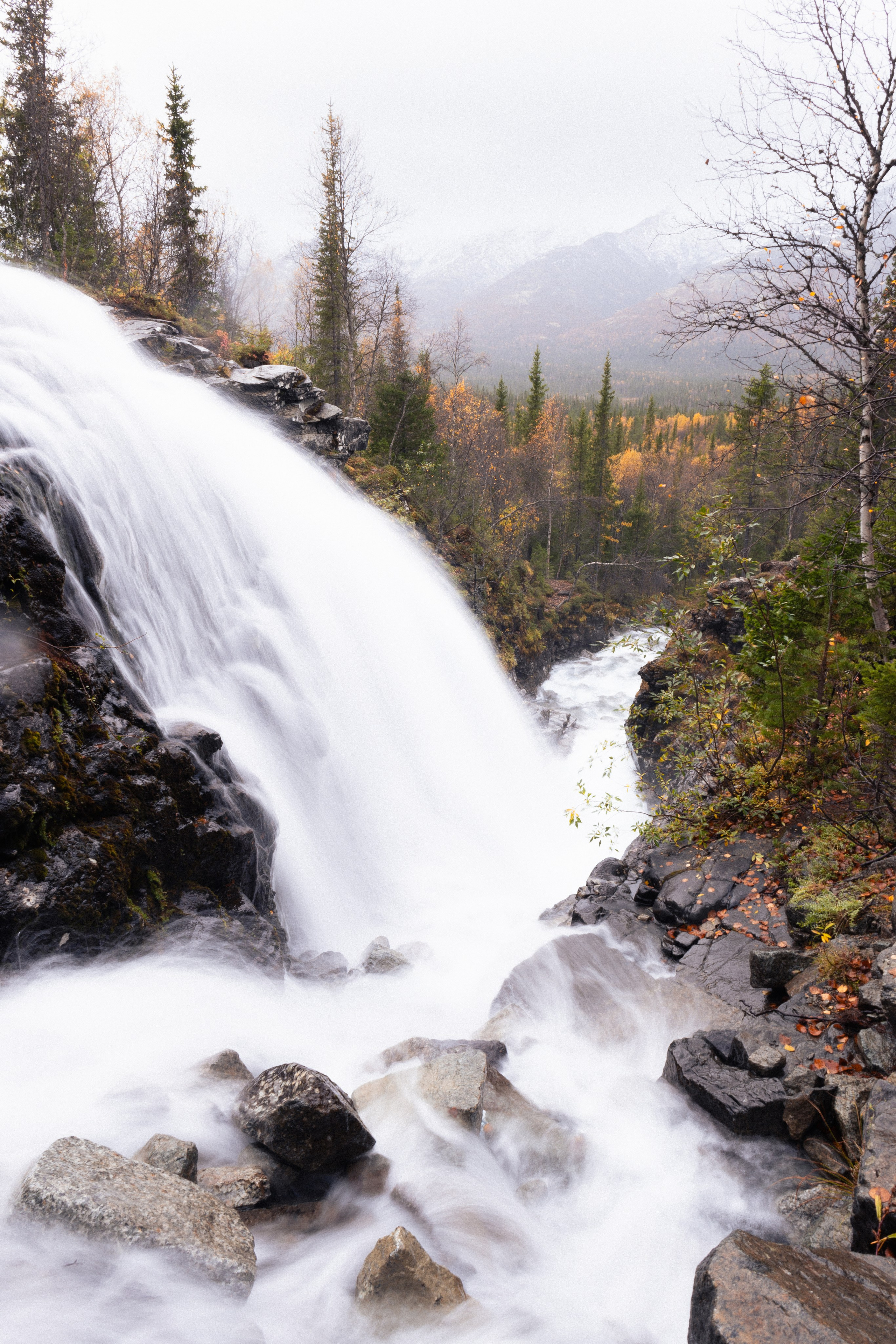 Кольский. Фотограф и видеограф анималист Аганина Дарья