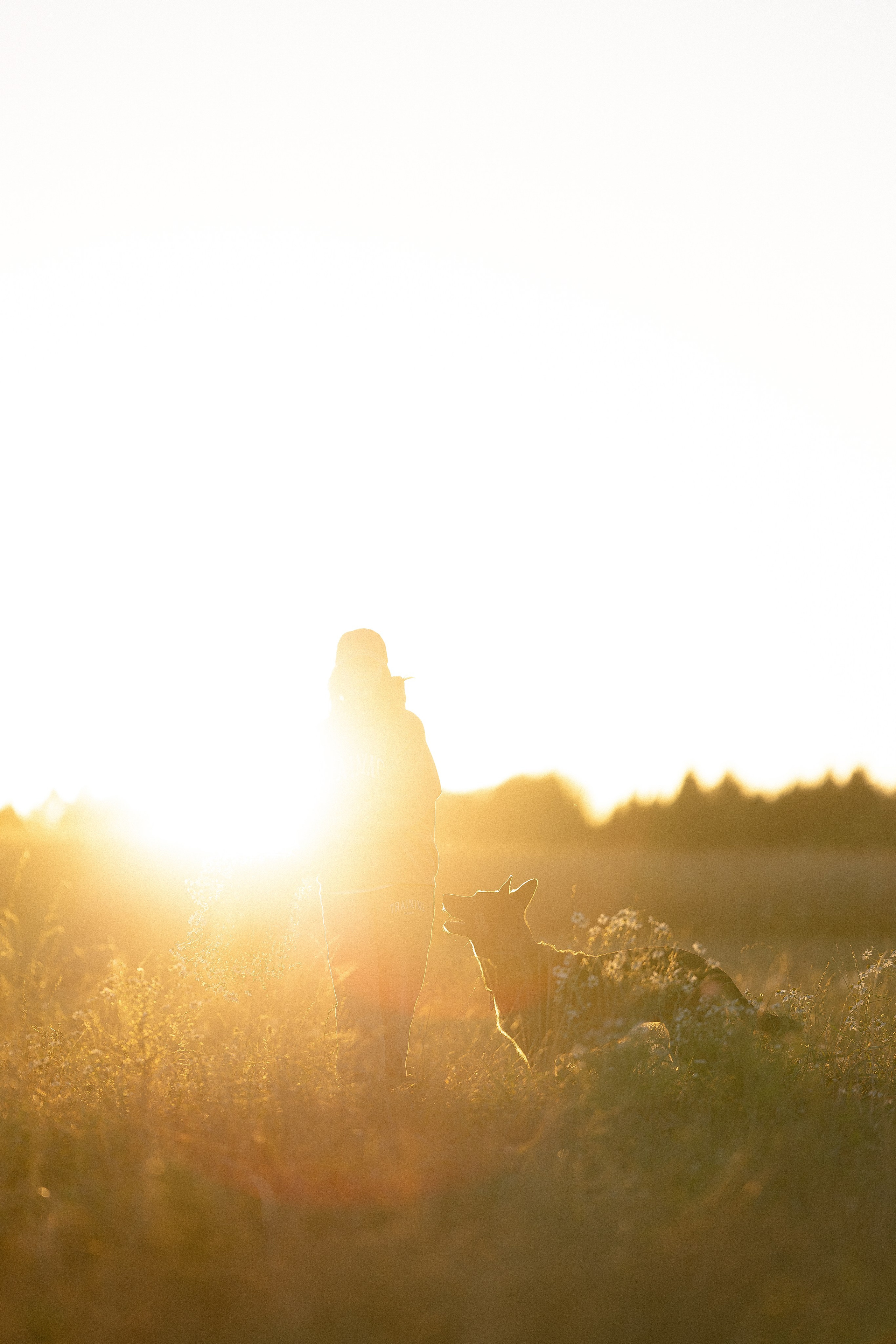 Женя, Афра и Молли. Фотограф и видеограф анималист Аганина Дарья