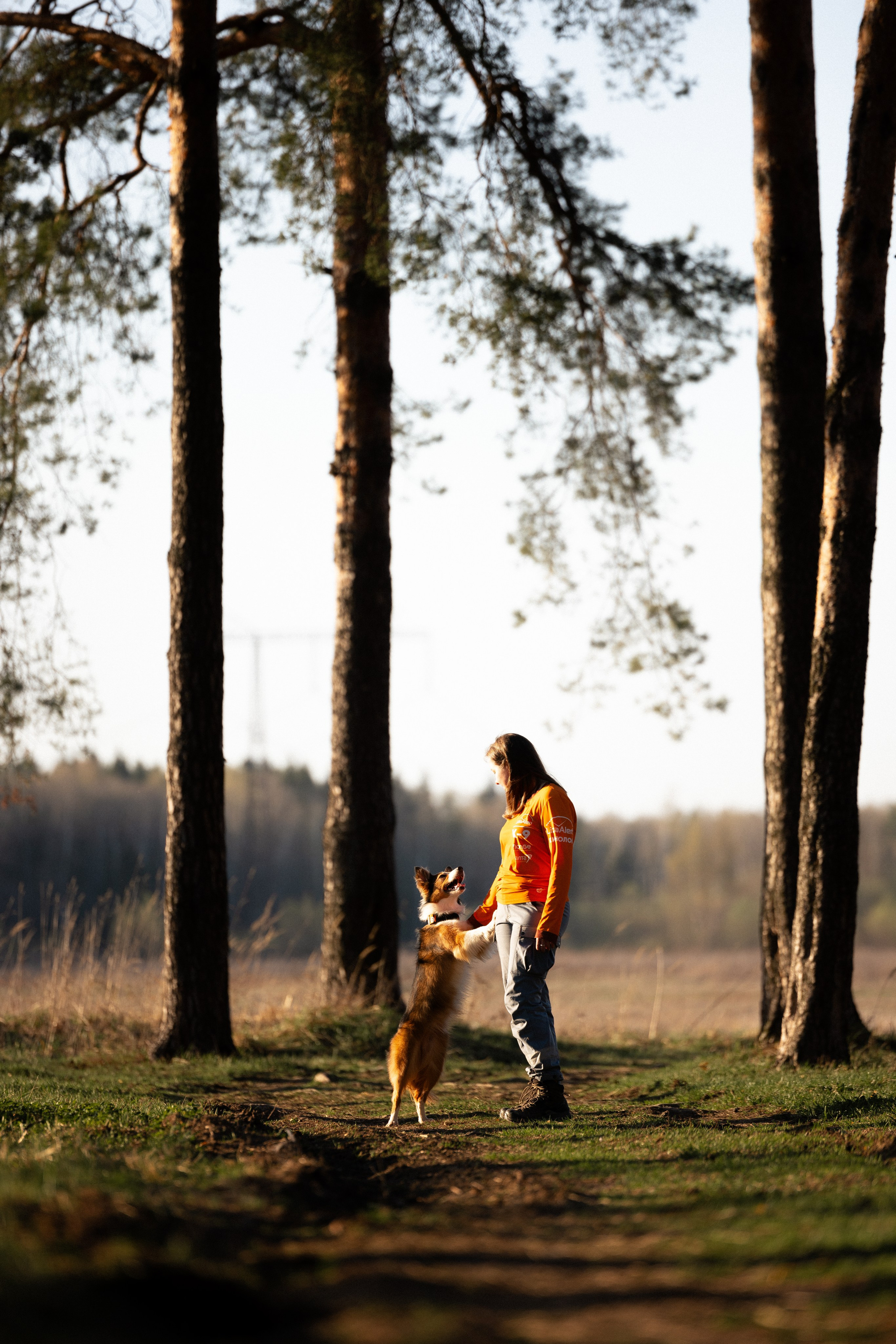 Разношерстная компания. Фотограф и видеограф анималист Аганина Дарья