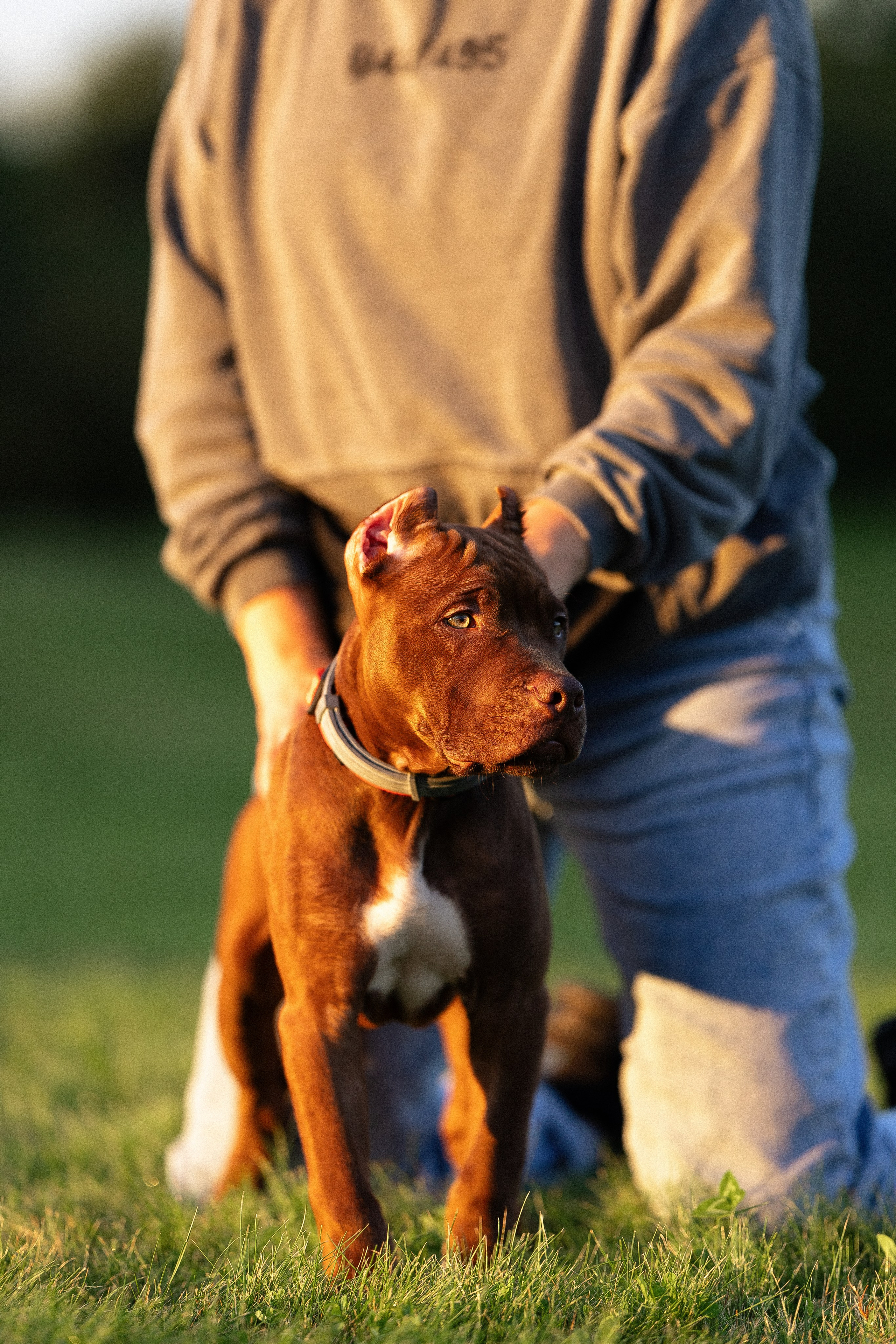 Елена и Хан. Фотограф и видеограф анималист Аганина Дарья