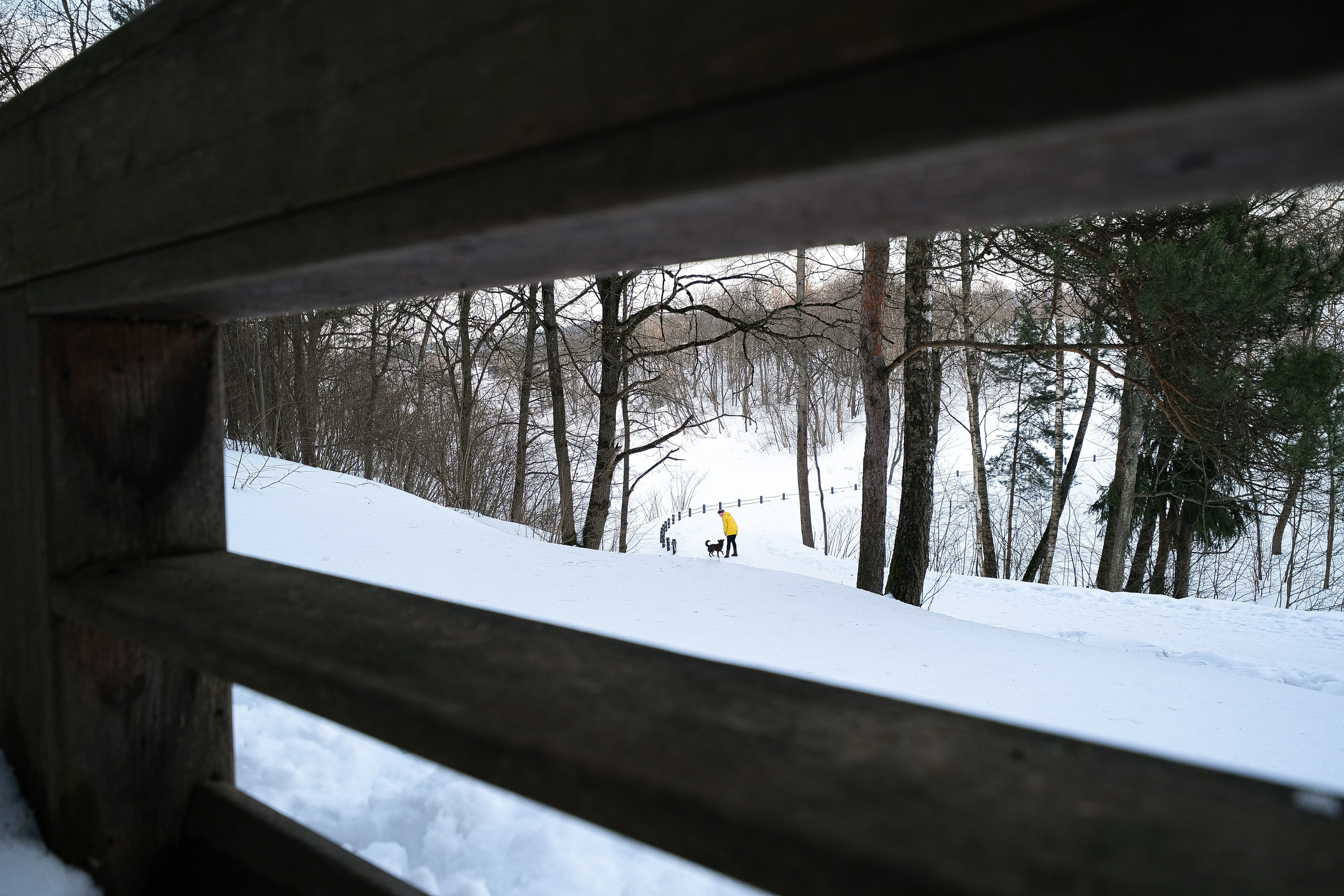 Маша и Одиссея. Фотограф и видеограф анималист Аганина Дарья