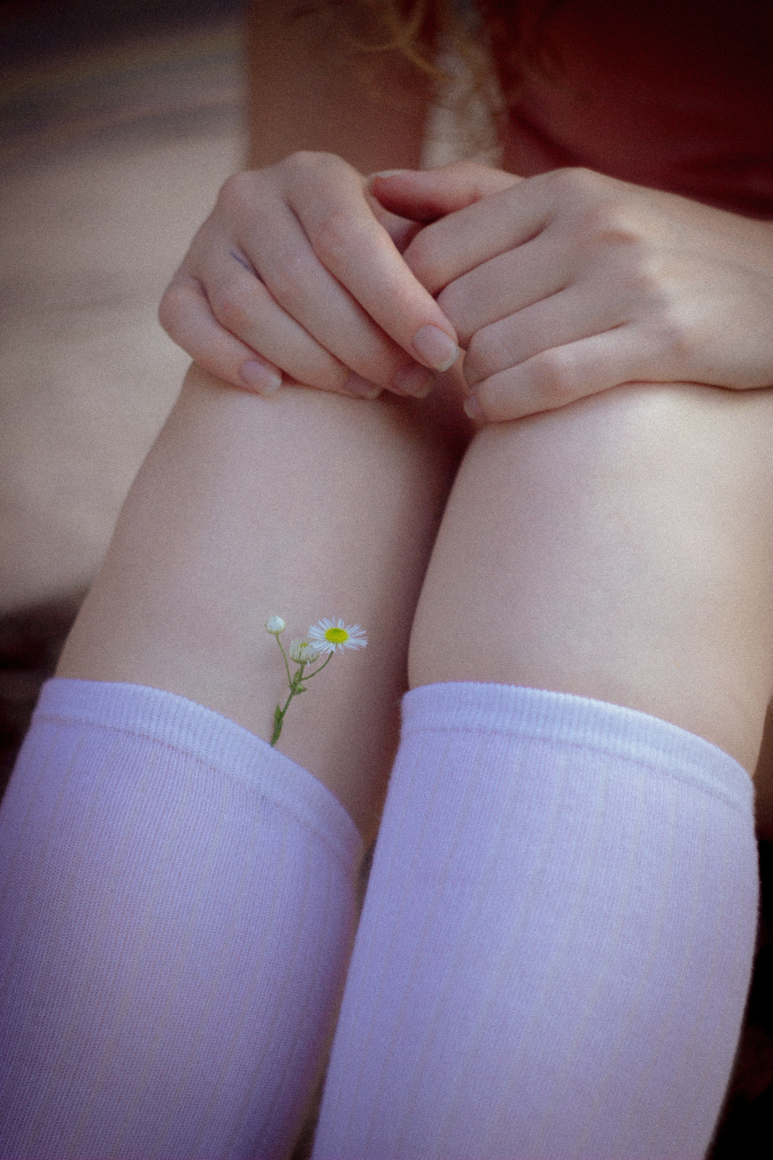 • Фотограф Александра Светозар Алчевск •