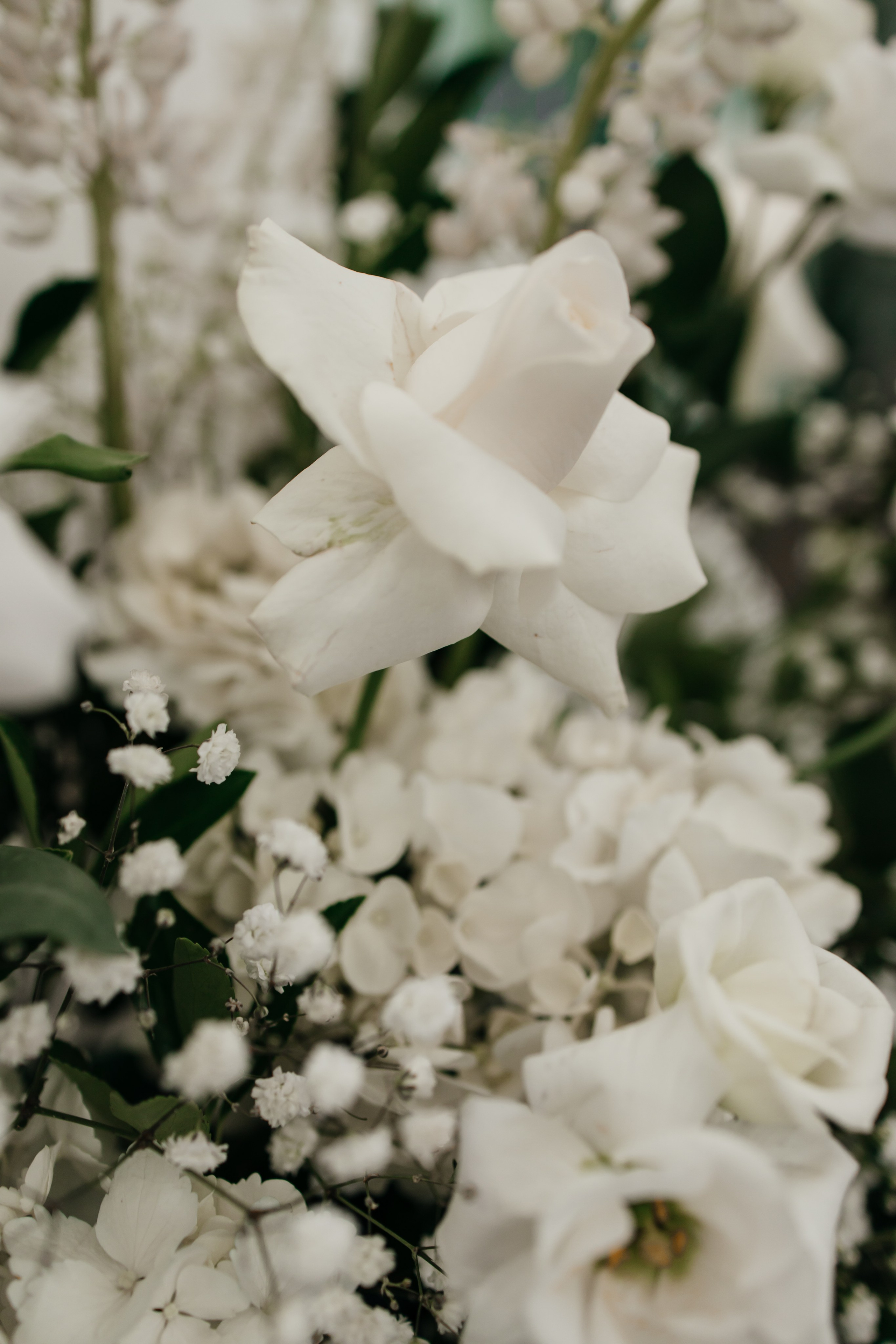 Даниил и Полина. Свадебный фотограф Москва Павел Фетисов