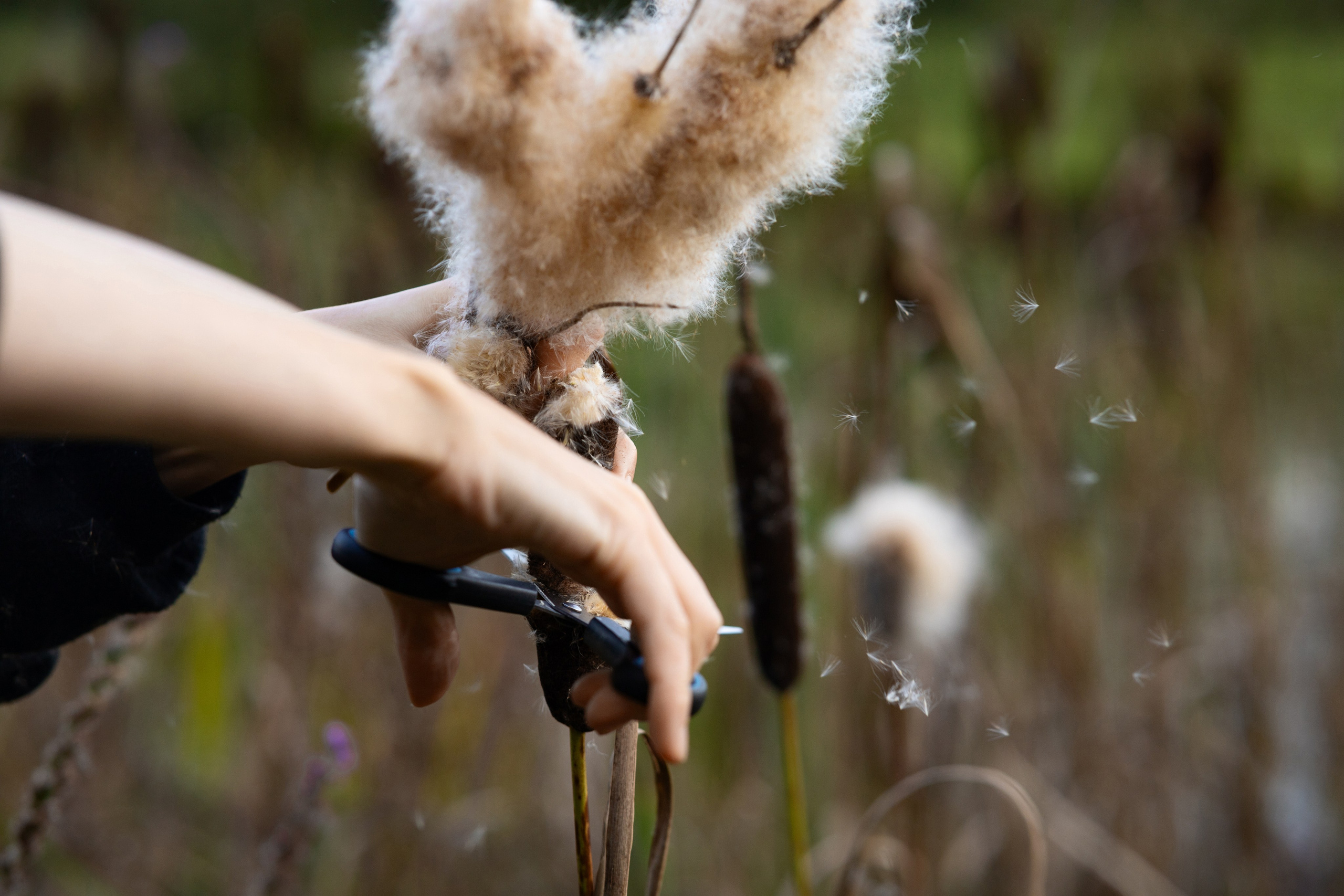 Олька. Фотограф Михаил Олейник