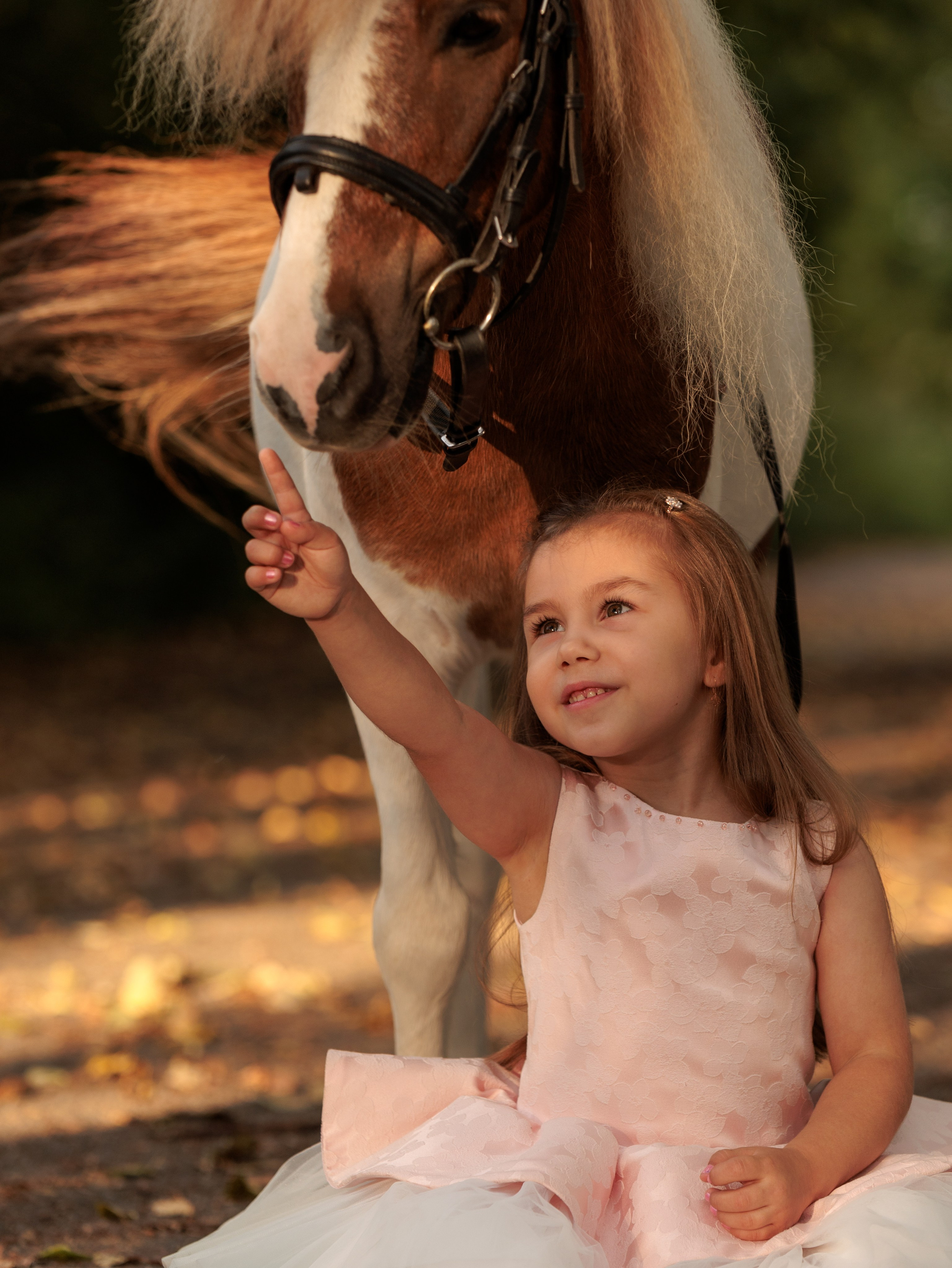КрылатыйПони. Конный фотограф в Красноярске — Любовь Похабова