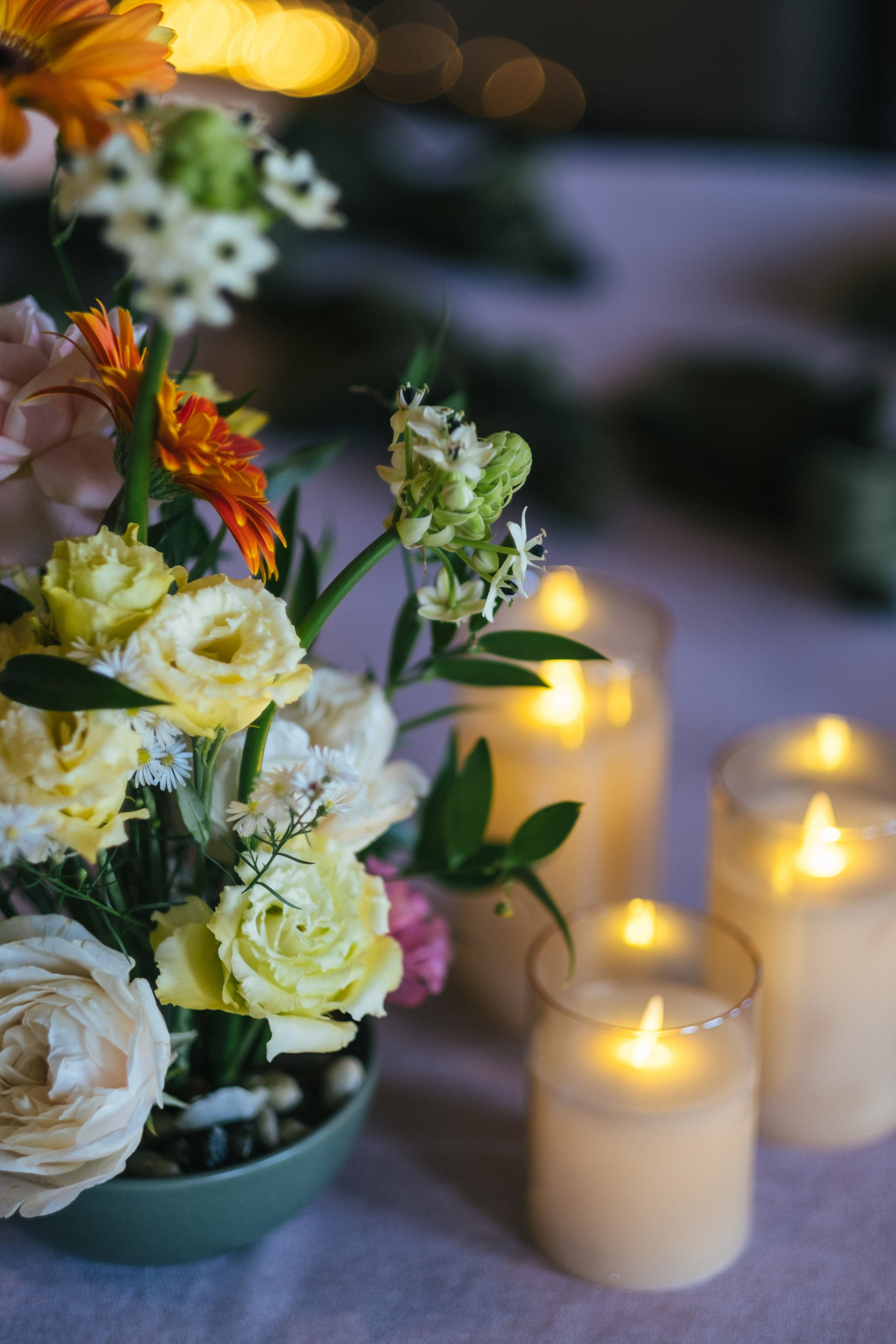 Змея и Мышь. Свадебный Видеограф Фотограф в Сочи