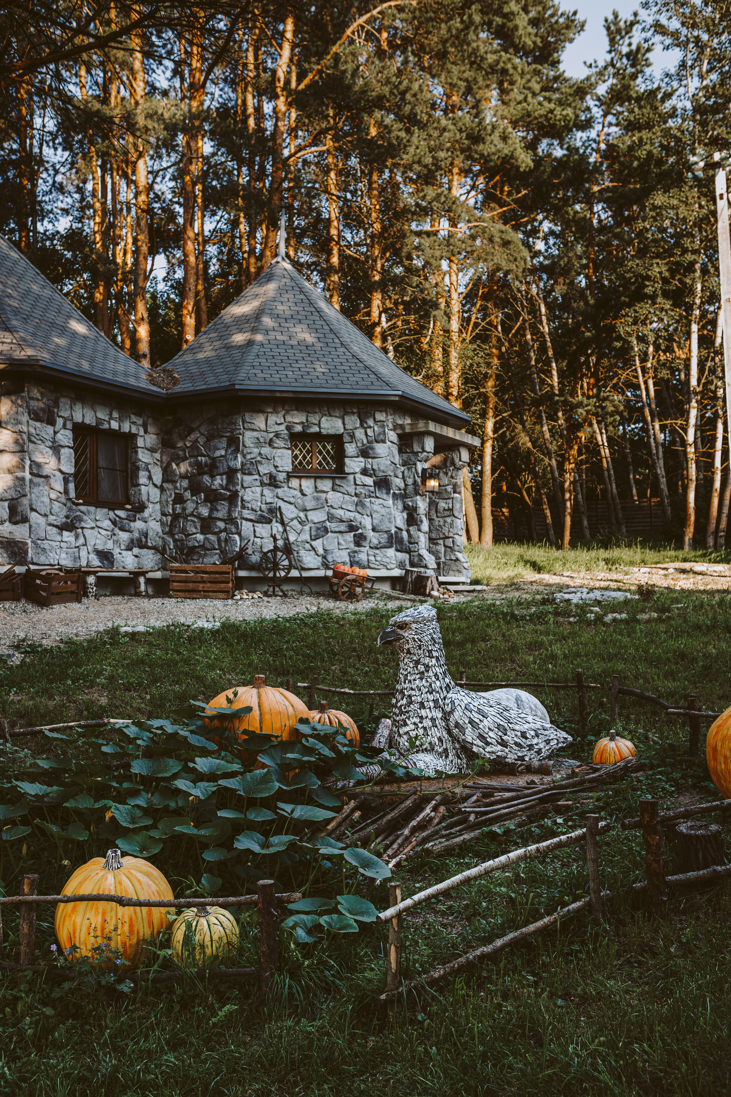 Хижина Хагрида. Свадебный фотограф Курзина Ольга | Москва