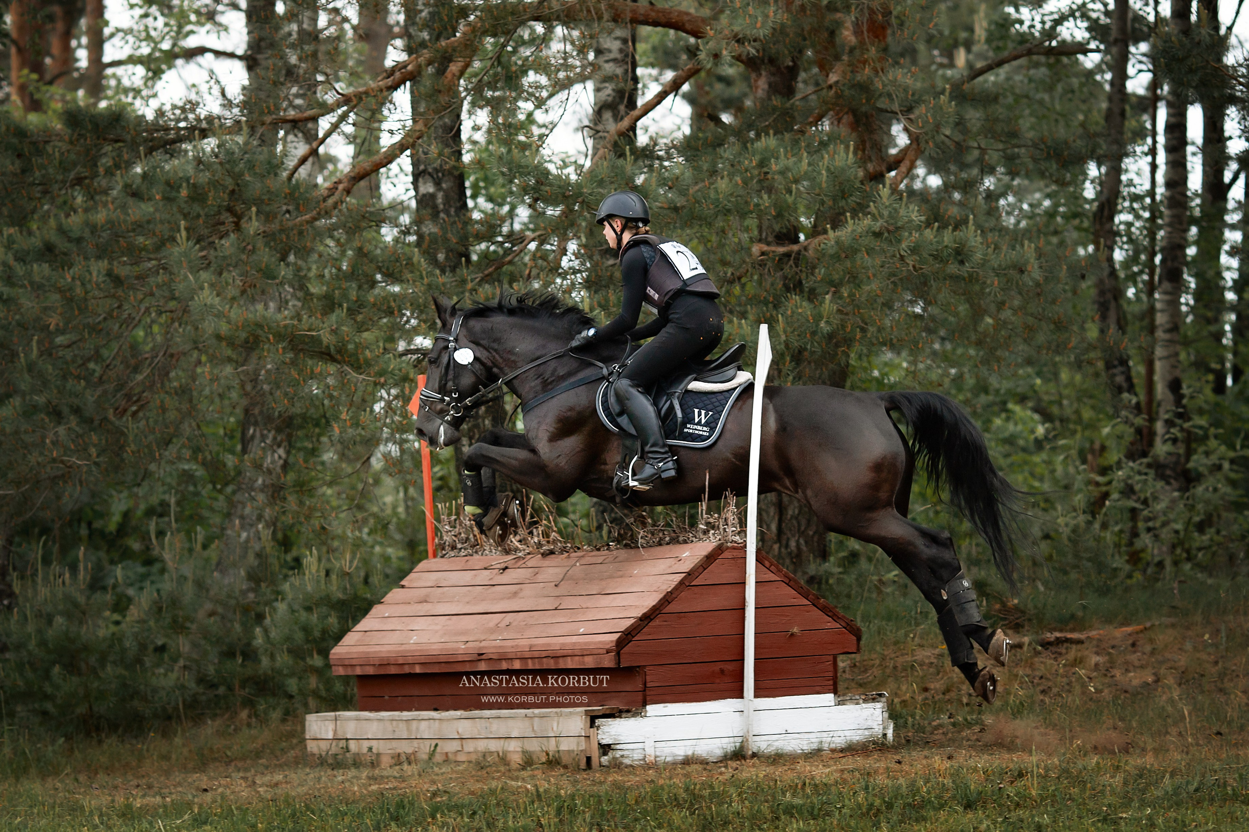 Кросс | Открытые Республиканские соревнования | Июнь 2023. Арт фотограф в Минске Анастасия Корбут