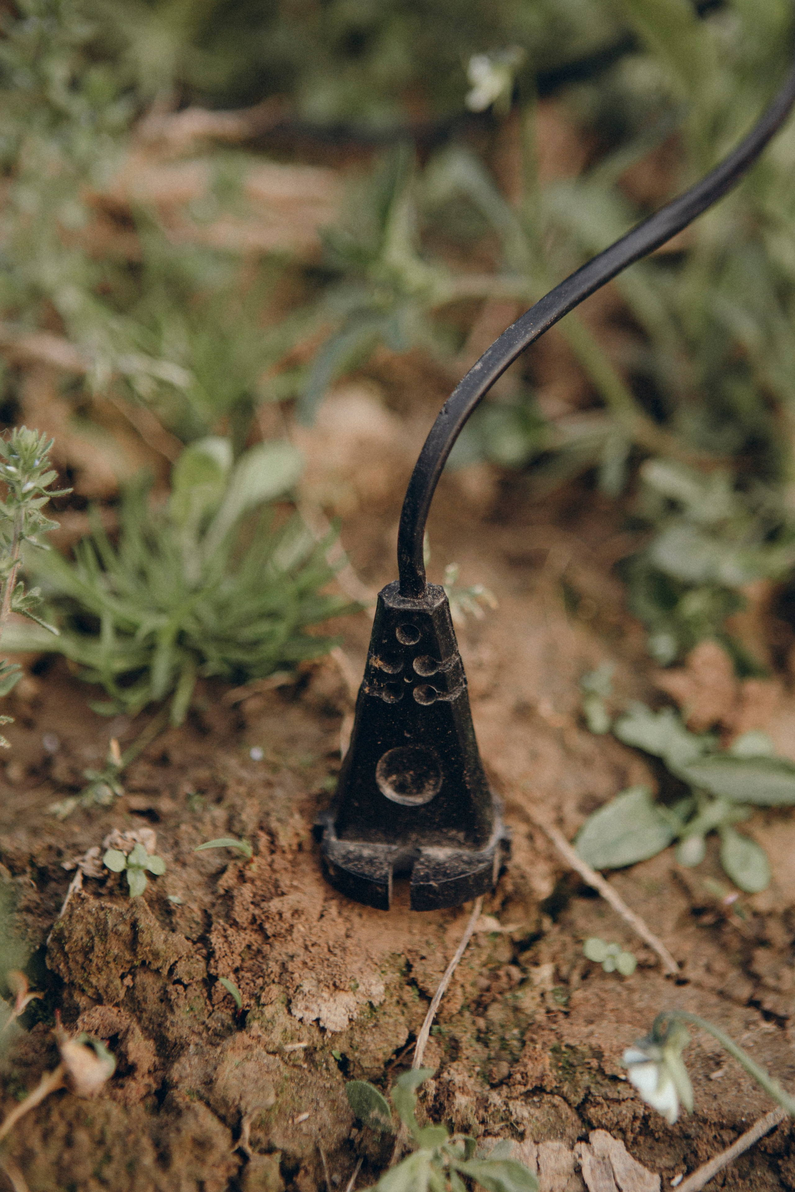 Забытый монолог. Портретный фотограф в Минске