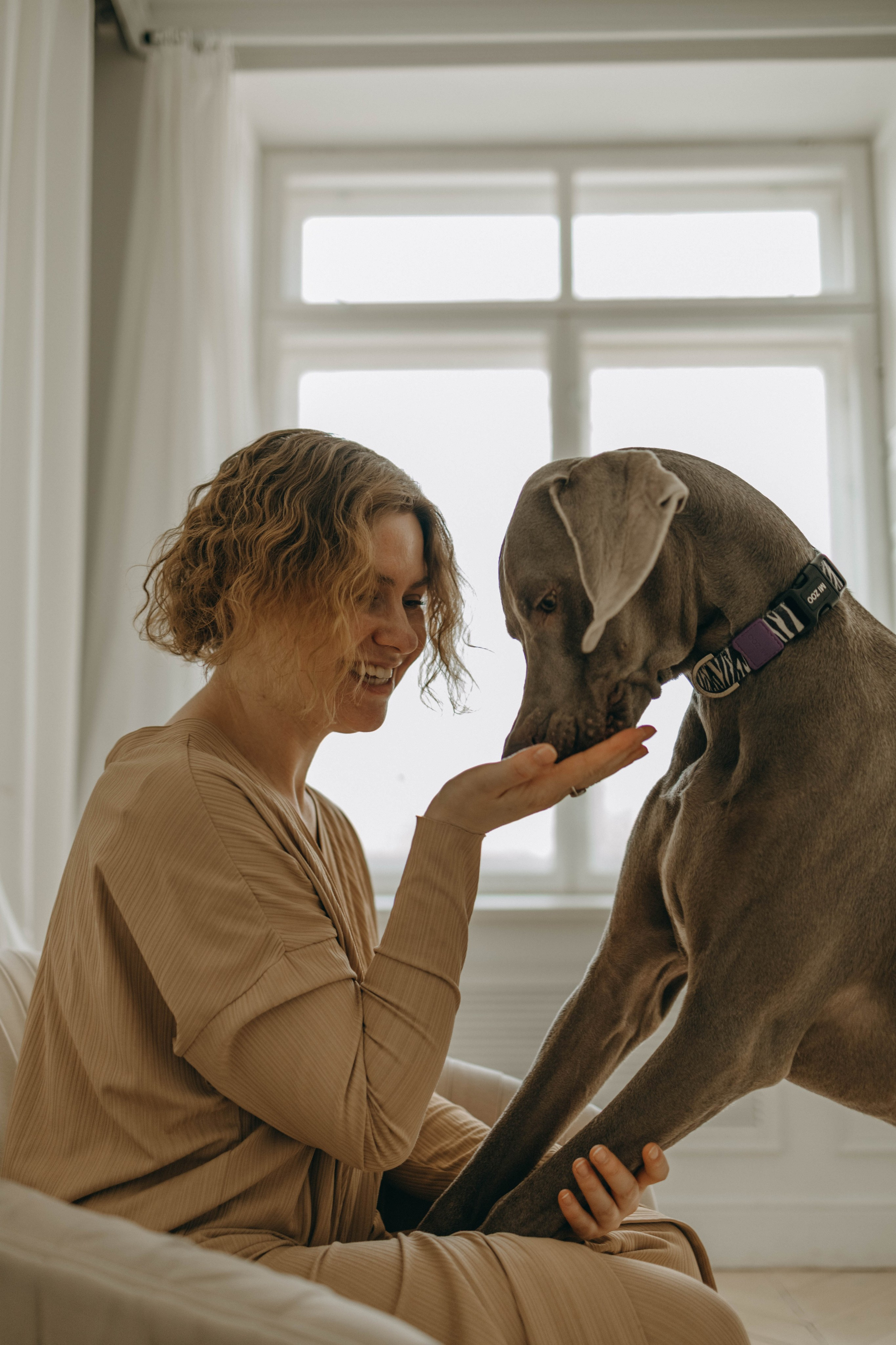 Фотосессия в студии с собакой. Фотограф-анималист в Екатеринбурге | Кристина