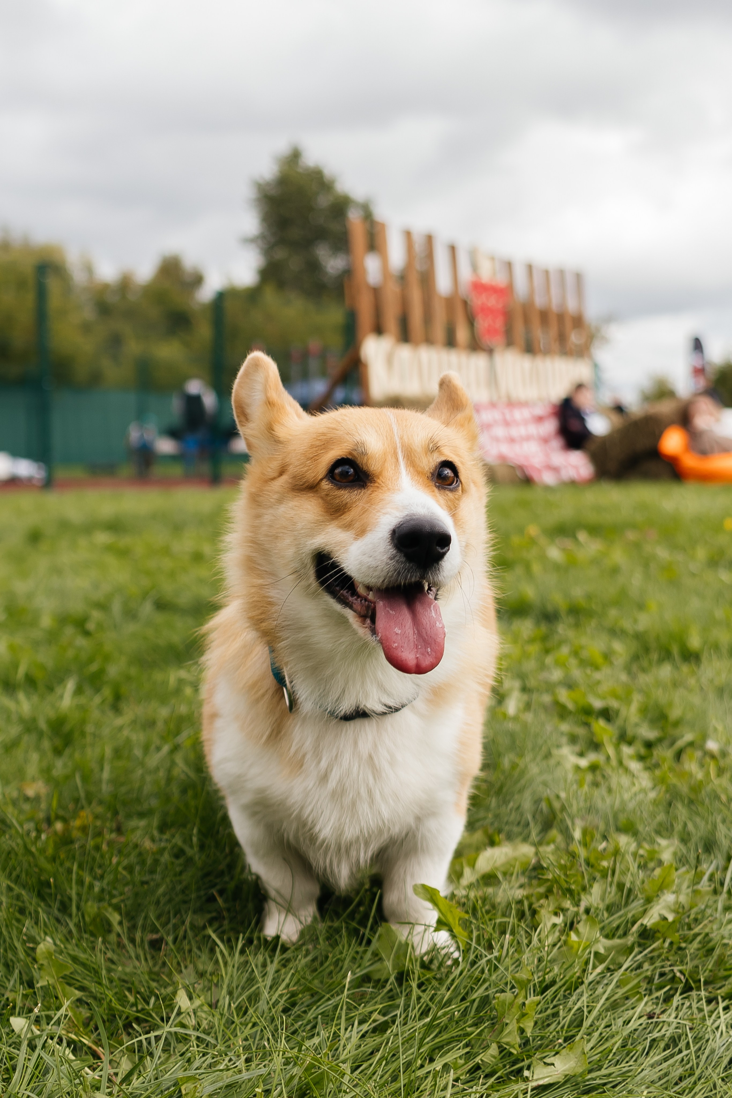 Спартакиада Волковгрупп. Фотограф Кемерово | Сергей