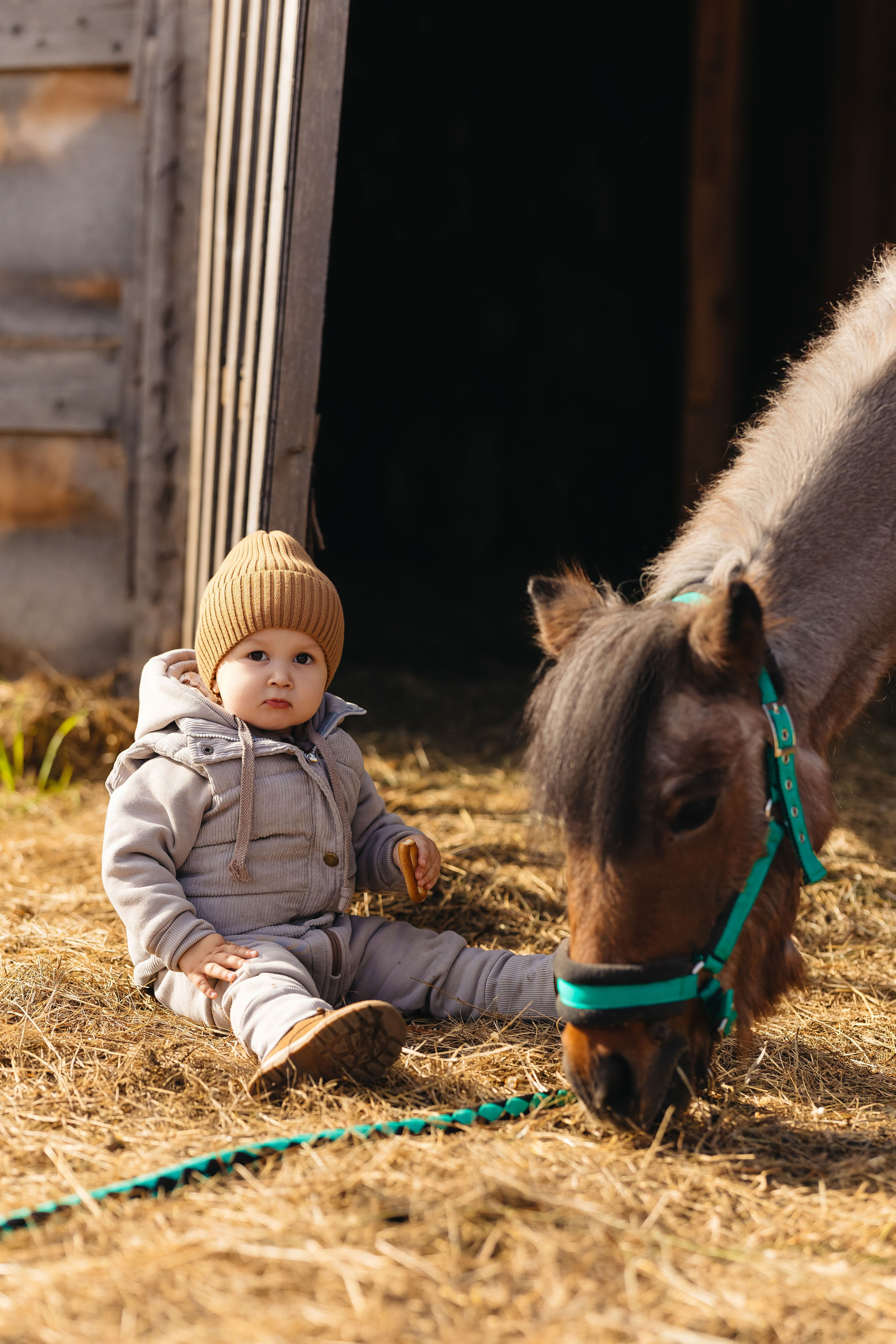 2024.10.02 Илья и лошадка. Ирина Бешляга. Фотограф в Москве и по всей России