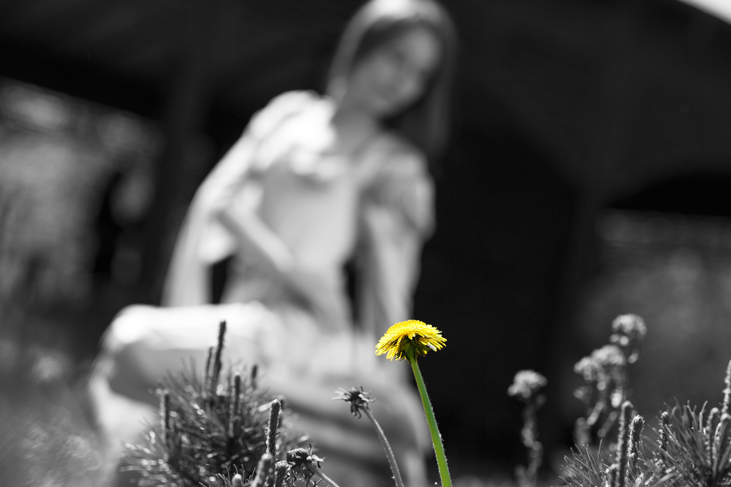 100Foto. Фотограф Вадим Чепрасов | Санкт-Петербург