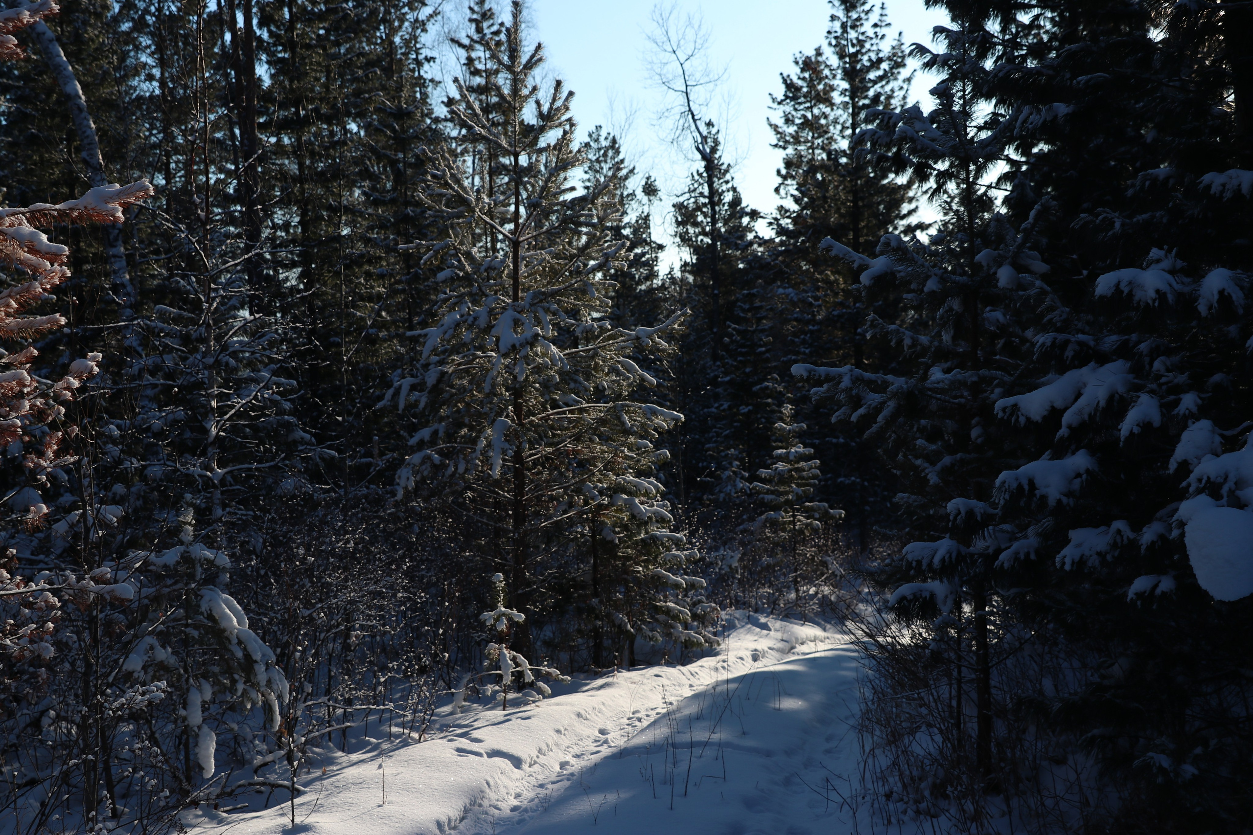 Аршан. Январь 2024. Путешественник-фотограф из Санкт-Петербурга Татьяна Свистулина