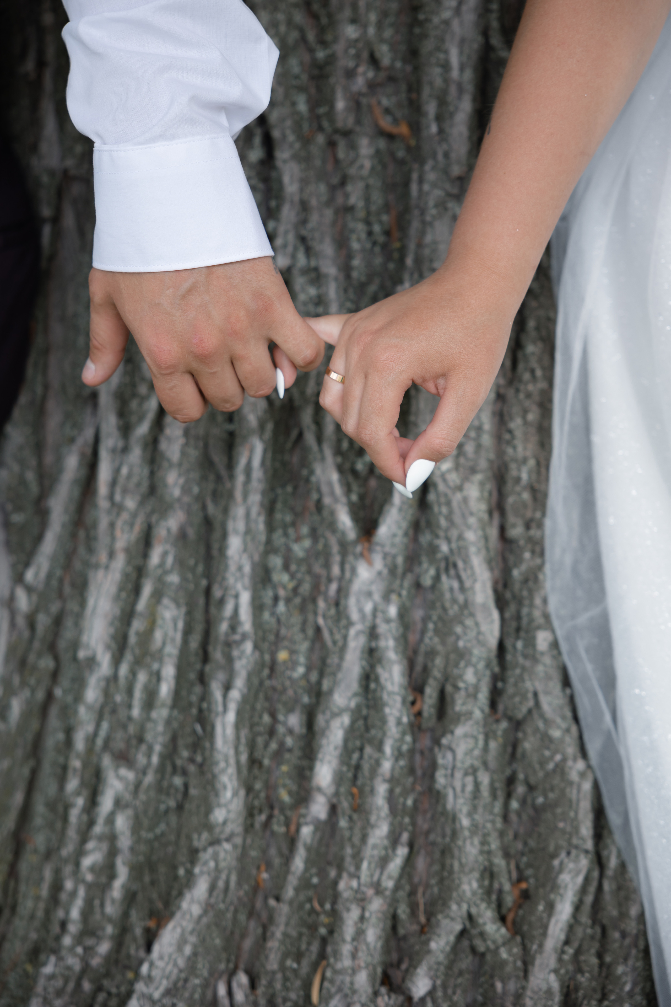 Дмитрий и Валерия. Свадебный фотограф в Санкт — Петербурге и Ленинградской о