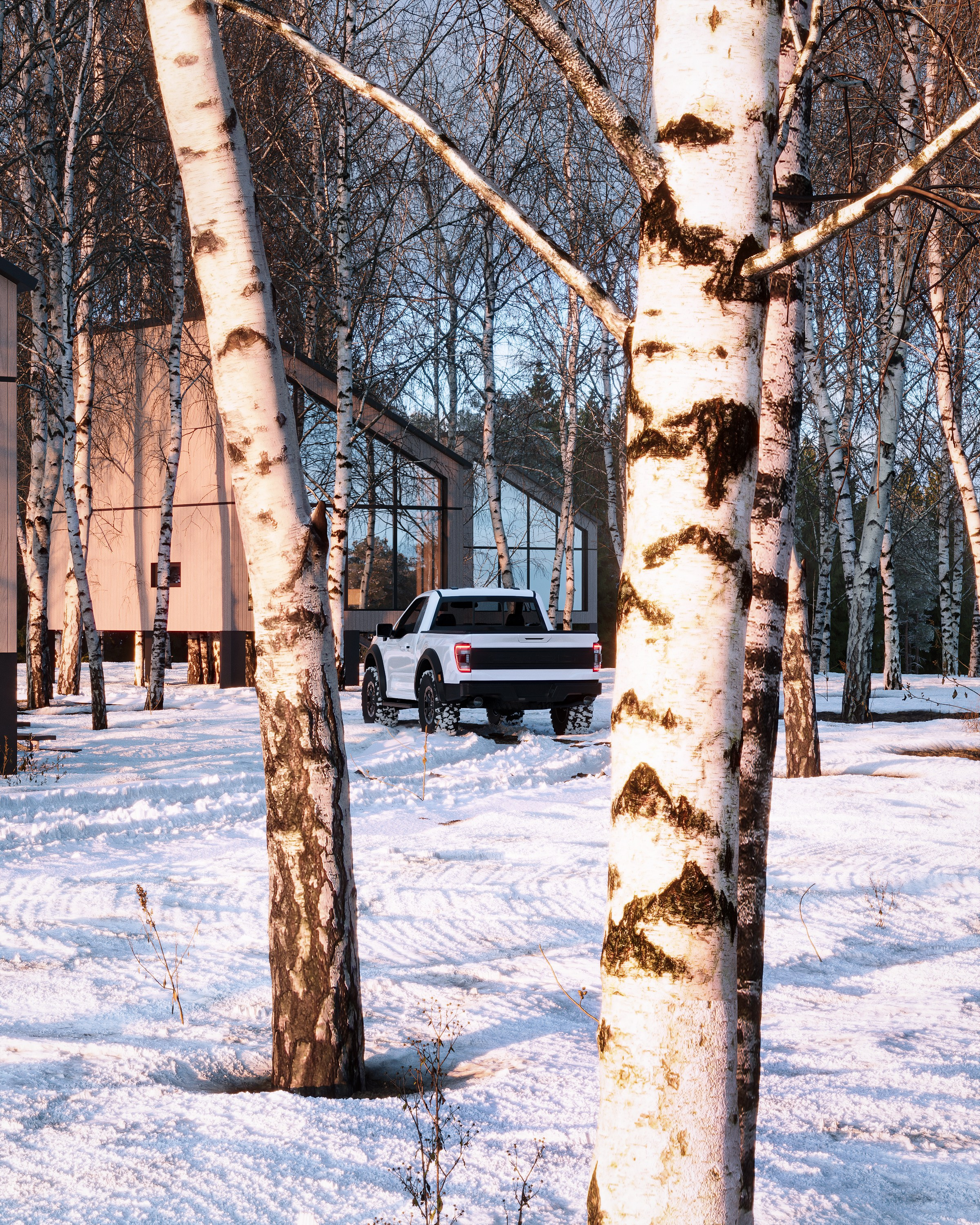 Winter country house. 3D визуализация интерьера и архитектурной среды