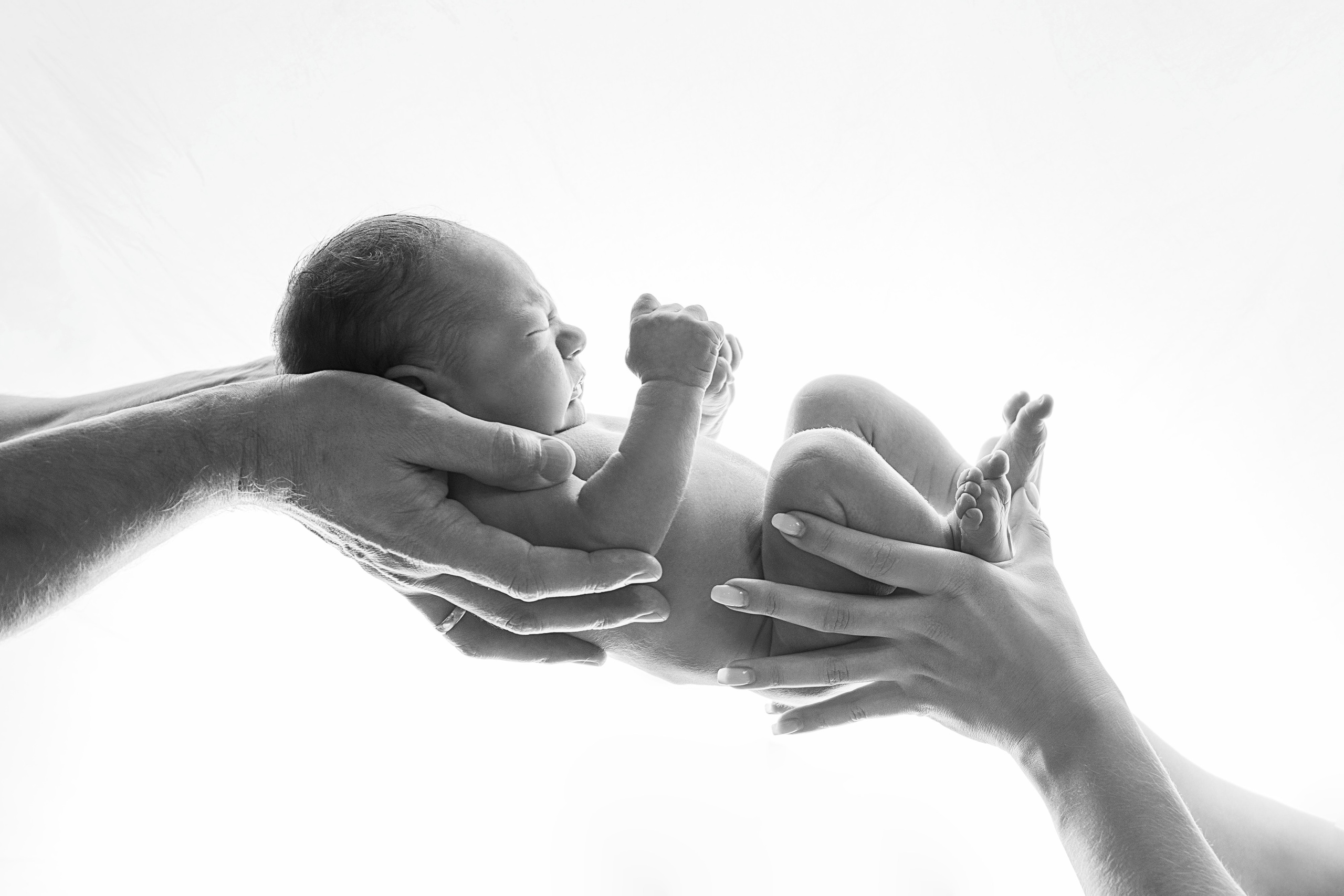 Newborn. Фотограф дмитров фотограф новорожденных дмитров фотограф москва фотог