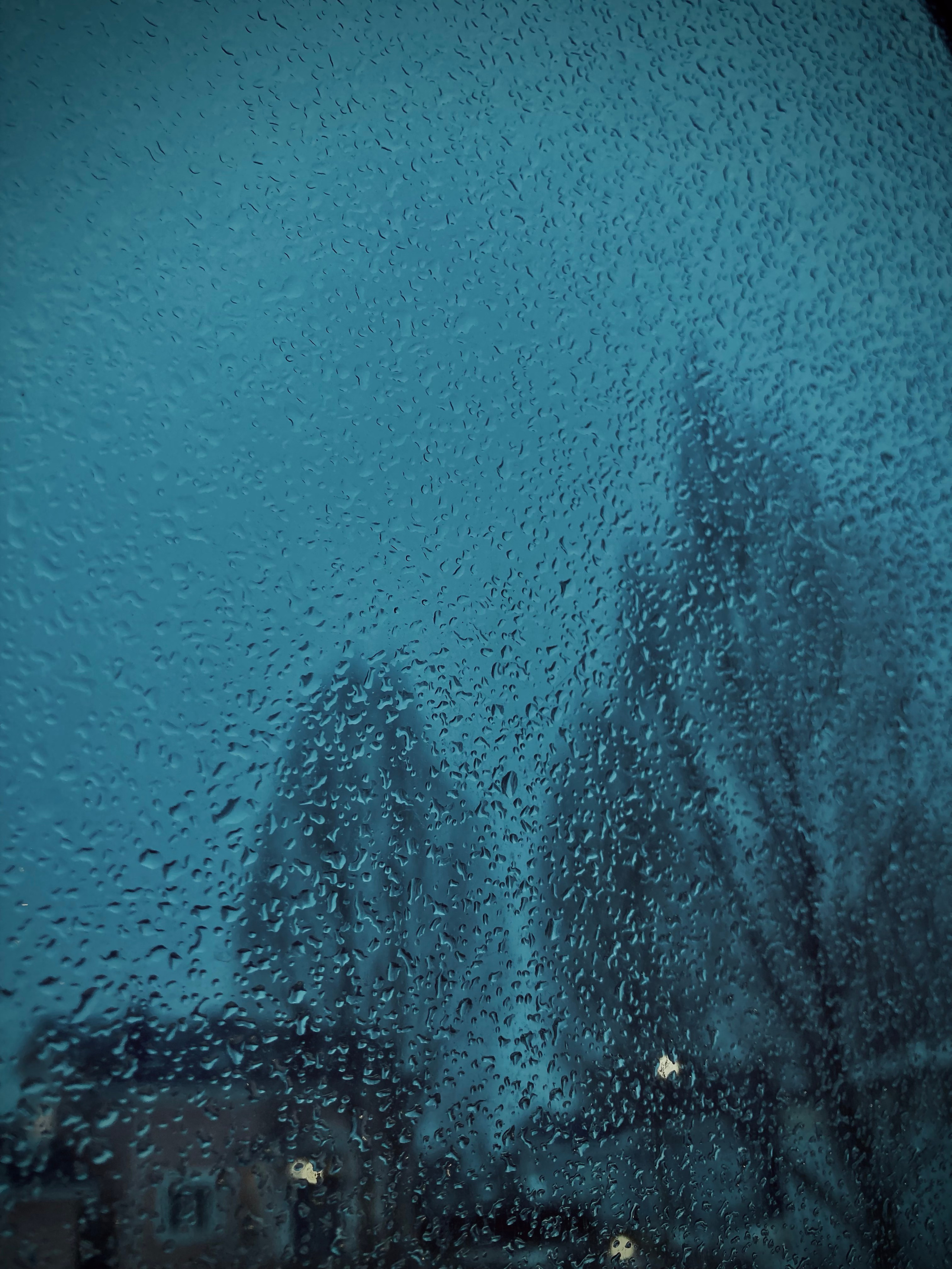 Фотографии. Детский и семейный фотограф Зоя Павкина