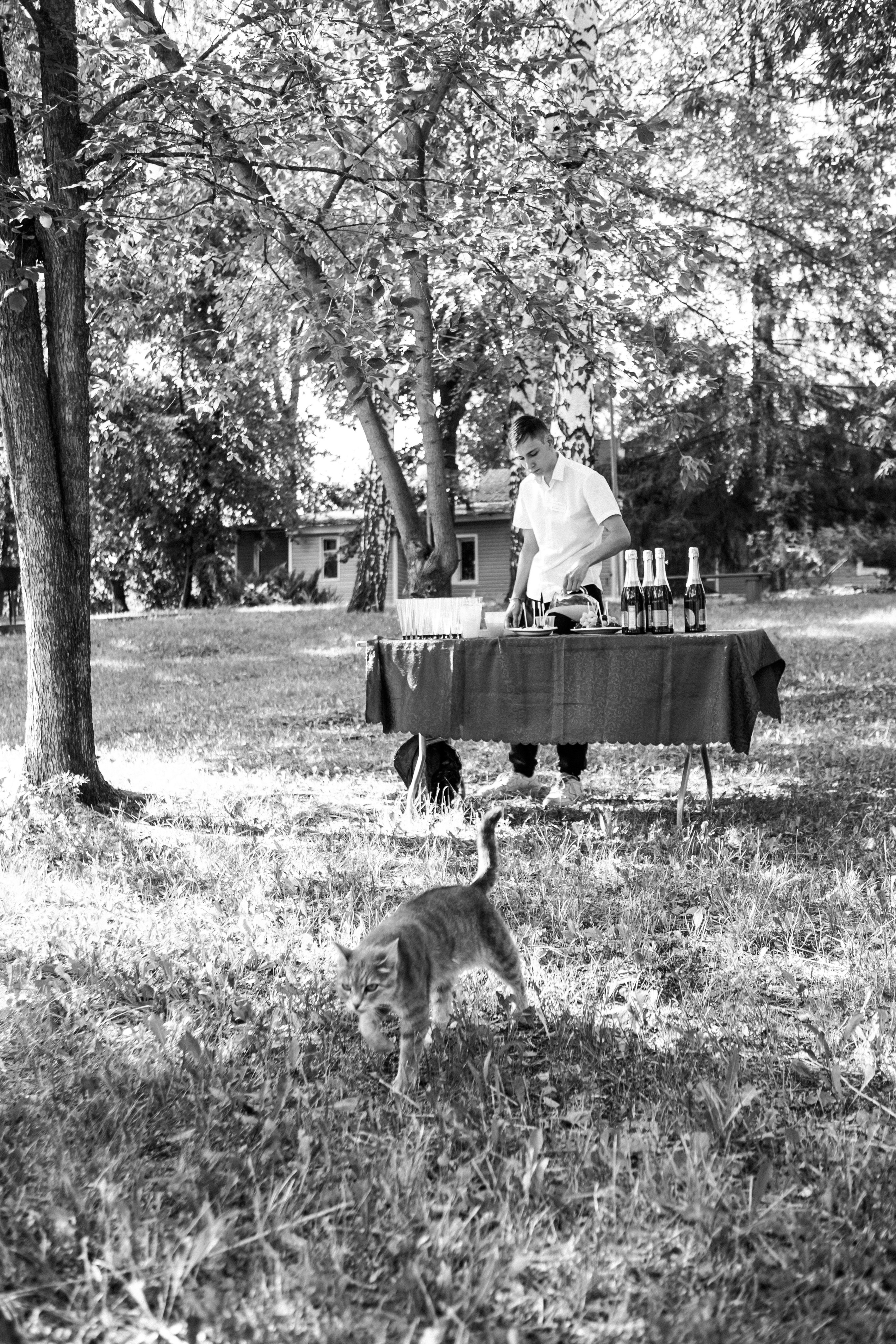 Алые паруса. Свадебный фотограф в Москве, Самаре, Тольятти