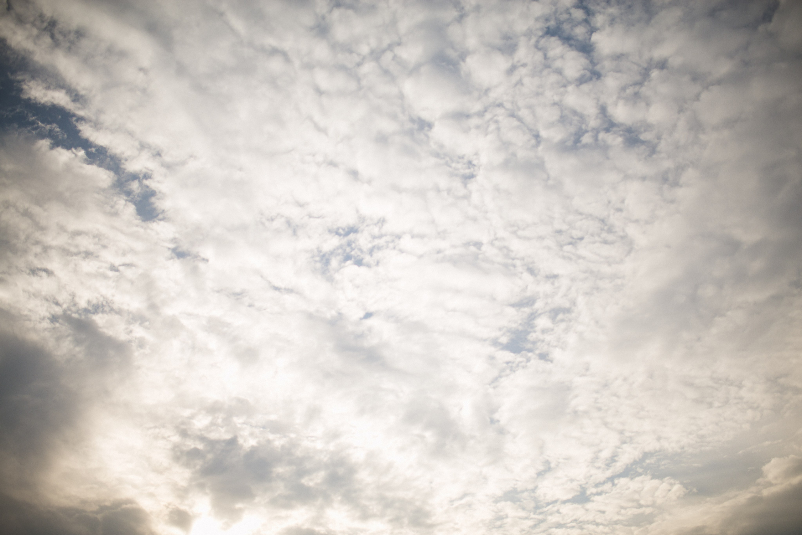 Костя, Яна и Арсений. Фотограф Таинств Крещения и Венчания в г. Курске