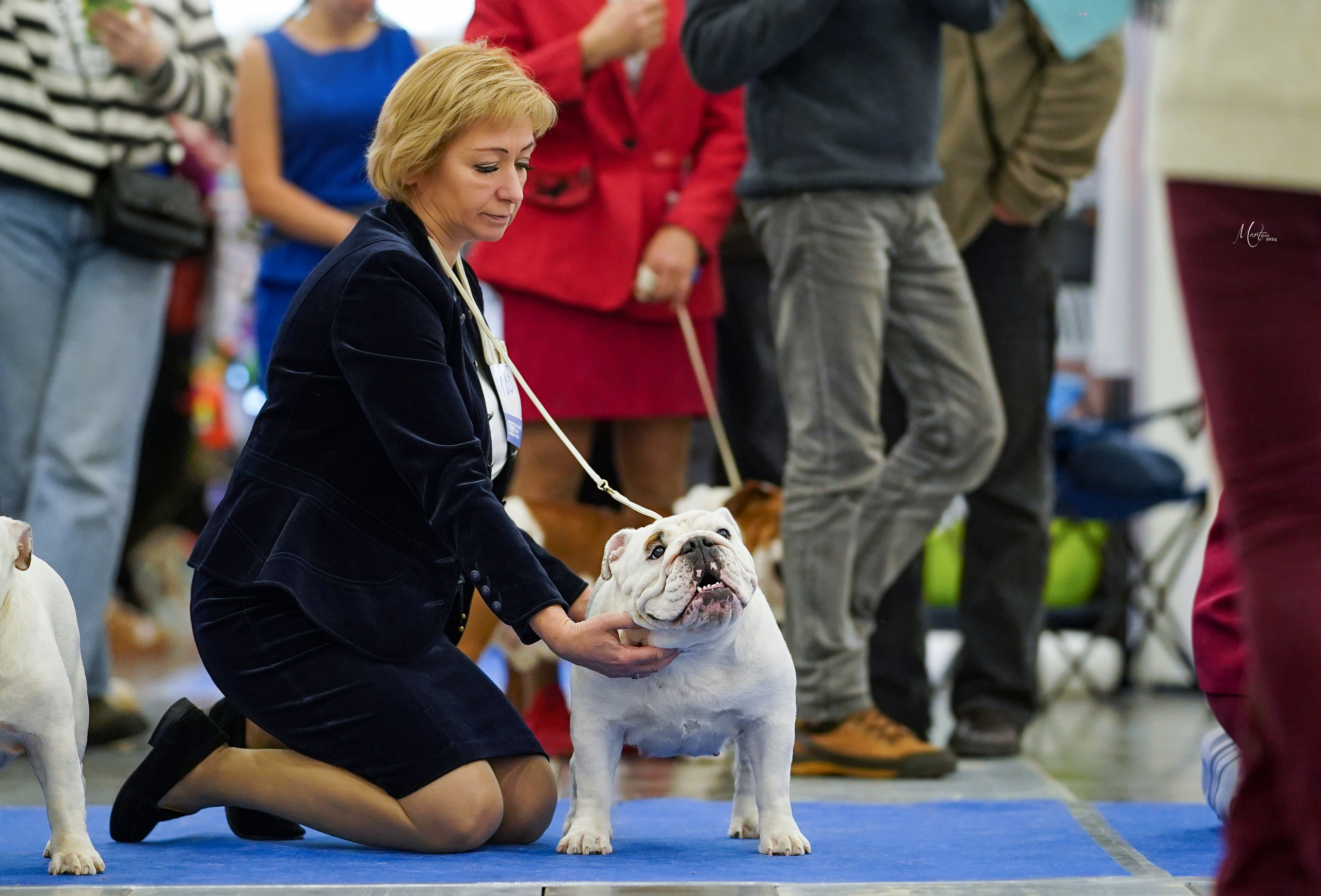 Выставки 2024. Фотограф-анималист в Санкт-Петербурге Яна Мартынова