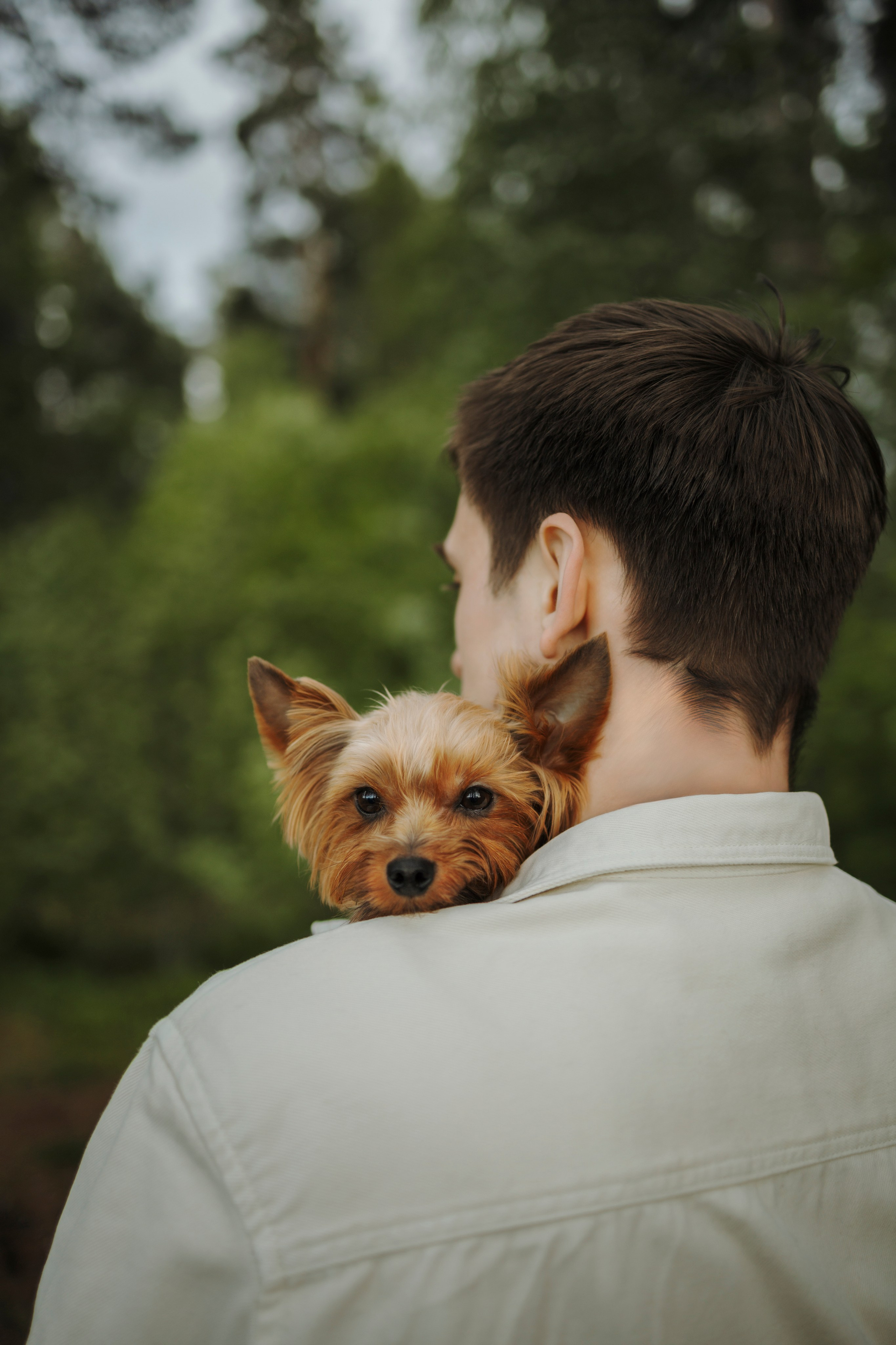 День из жизни Чуи и его семьи. Фотограф-анималист в Санкт-Петеребурге Титова Алиса