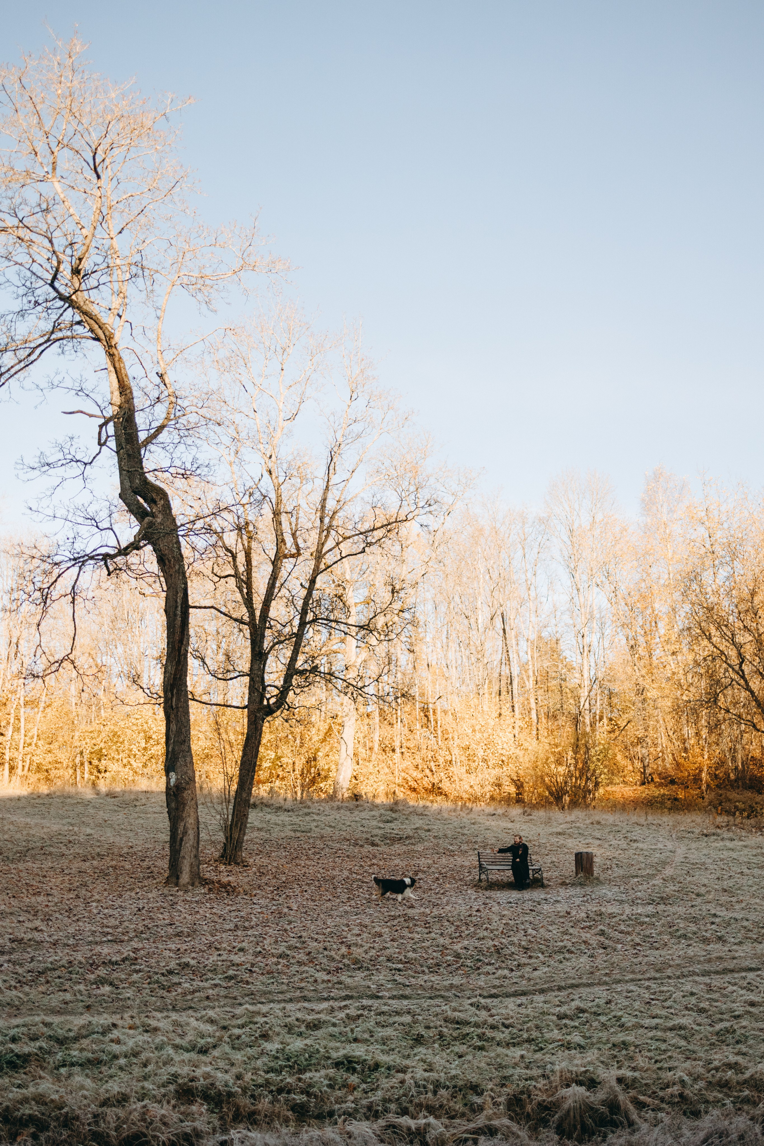 Ия и Барт. Фотограф — Анималист | Санкт-Петербург