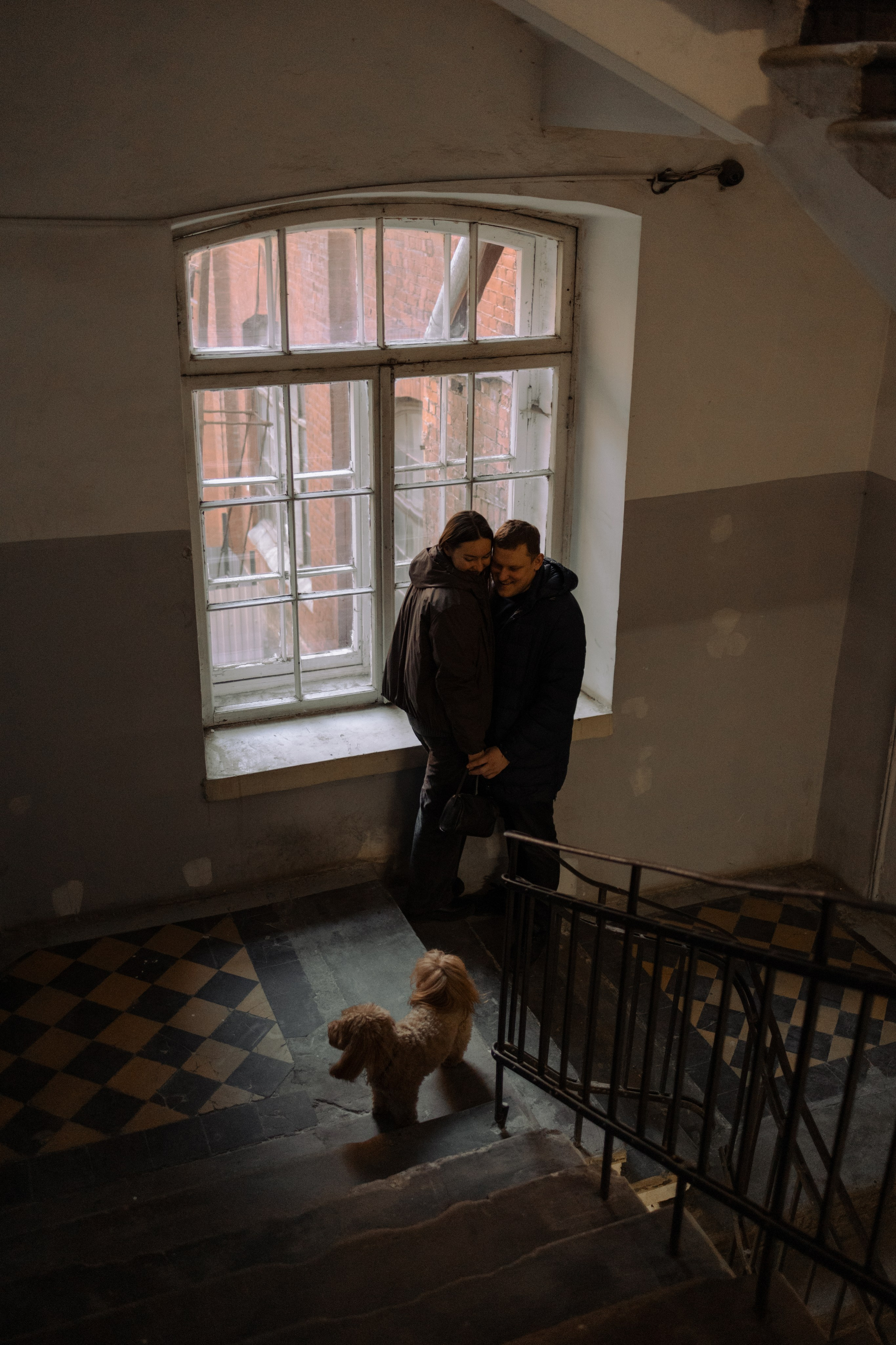 Шкипер и его семья. Фотограф — Анималист | Санкт-Петербург