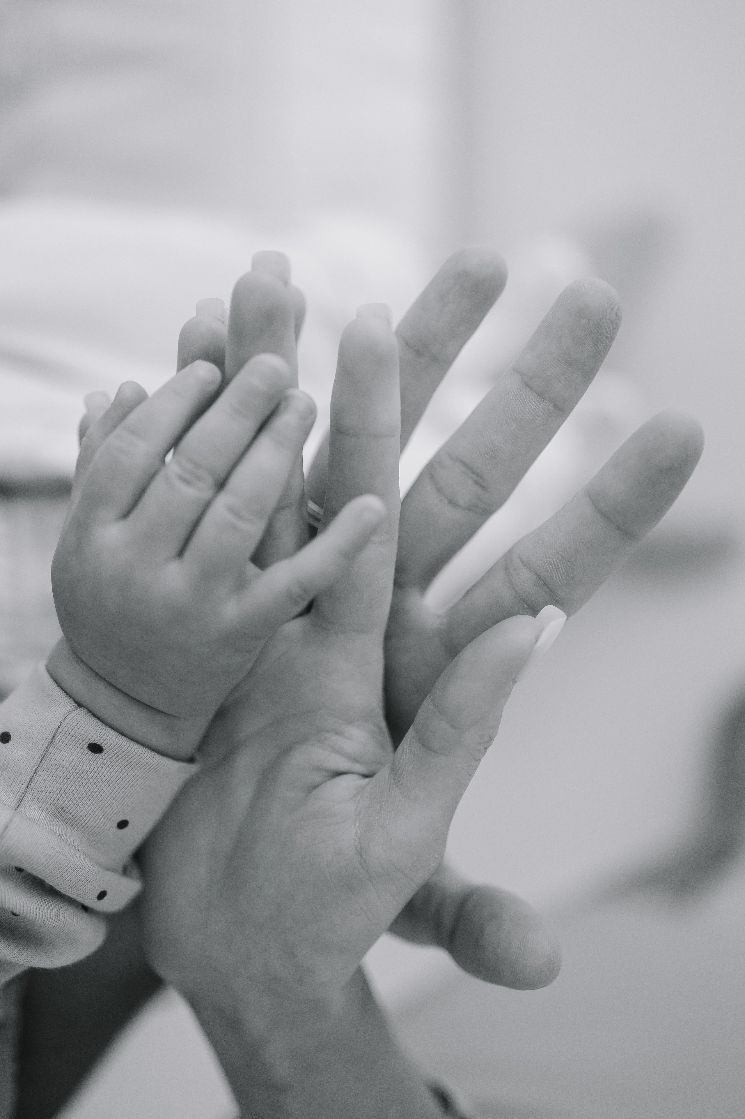 Лиза. Свадебный фотограф