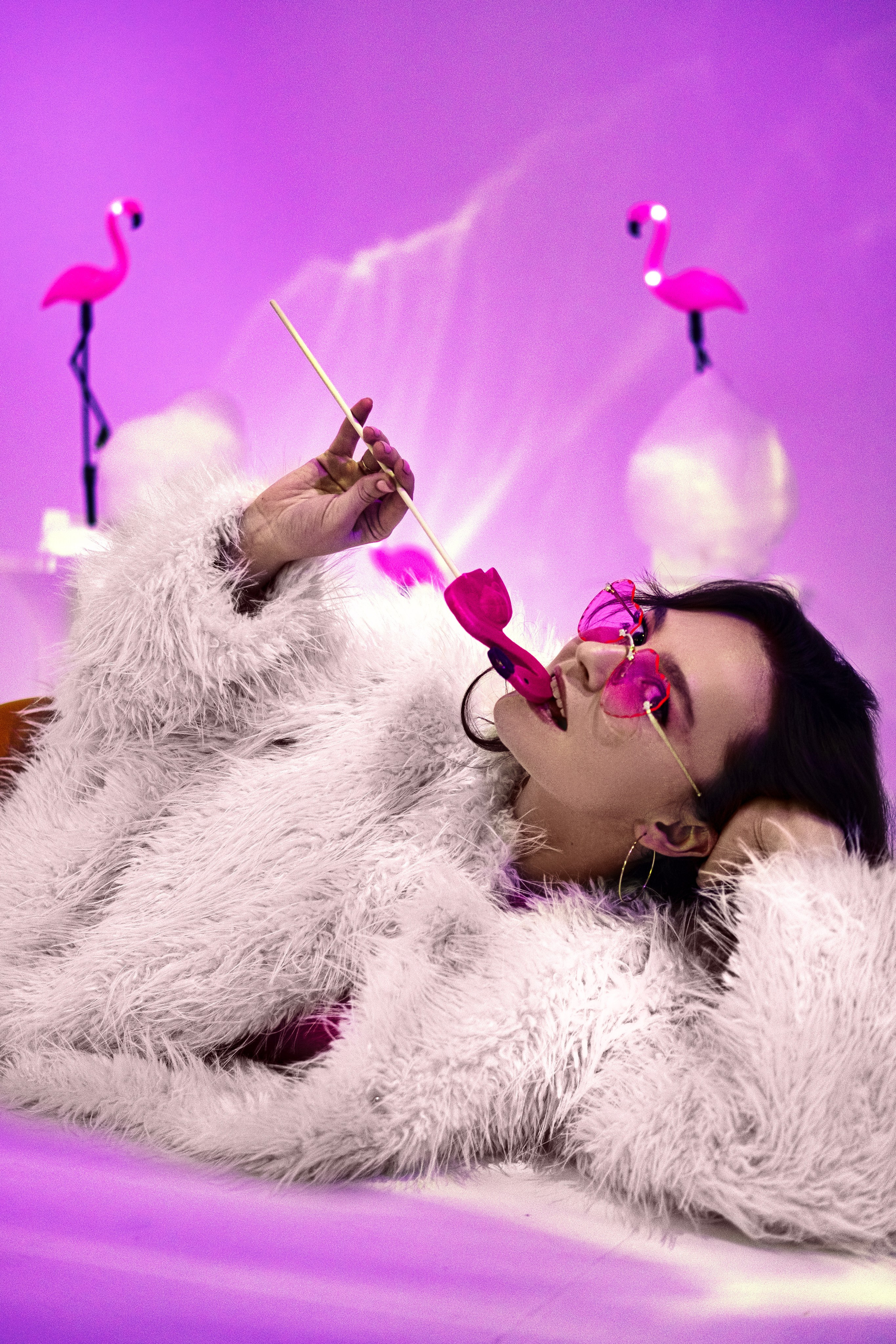 Розовый фламинго. Лиза Рязанцева