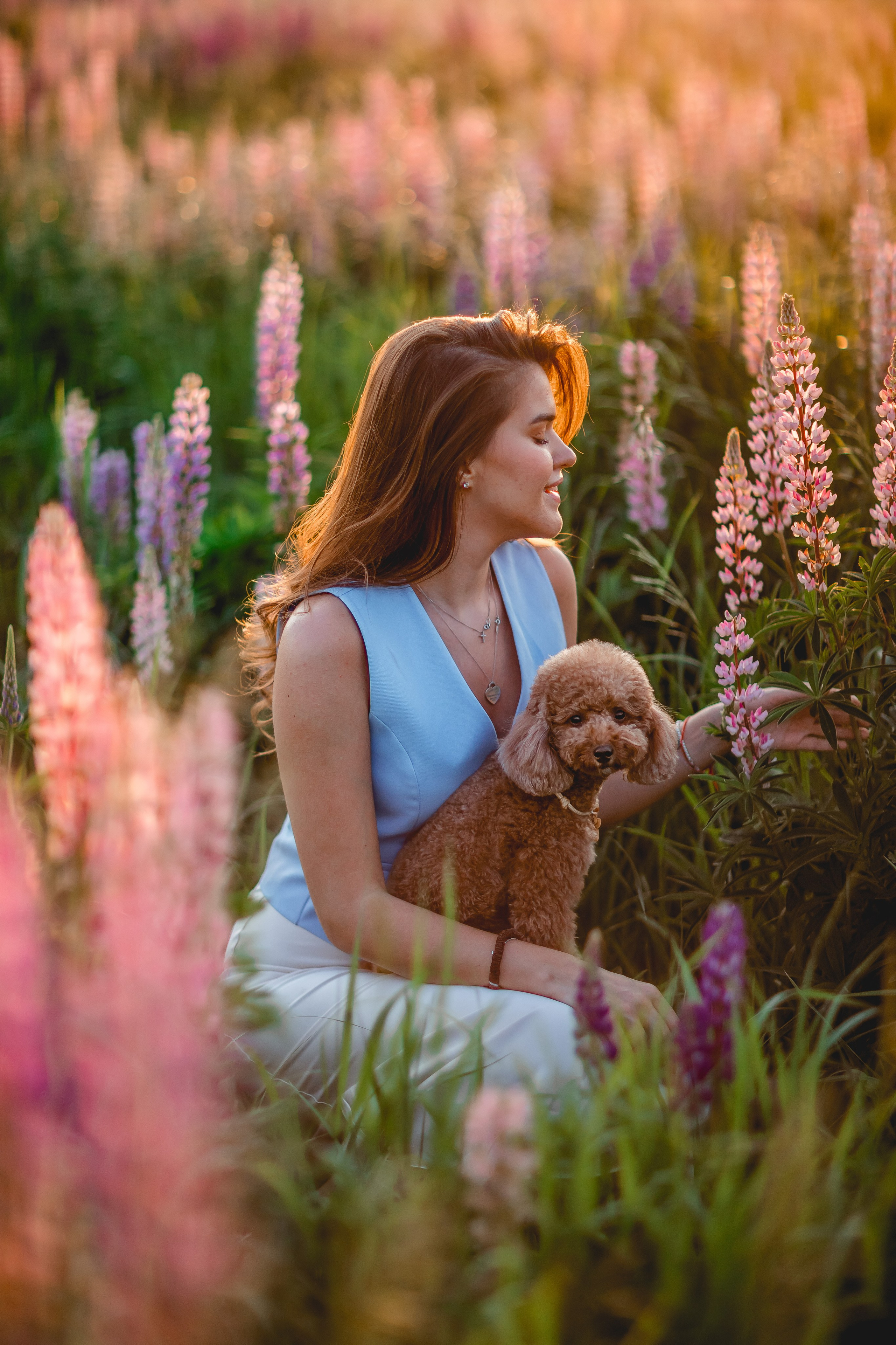 Катя и Джемма в люпинах. Семейный фотограф анималист Мария Крючкова