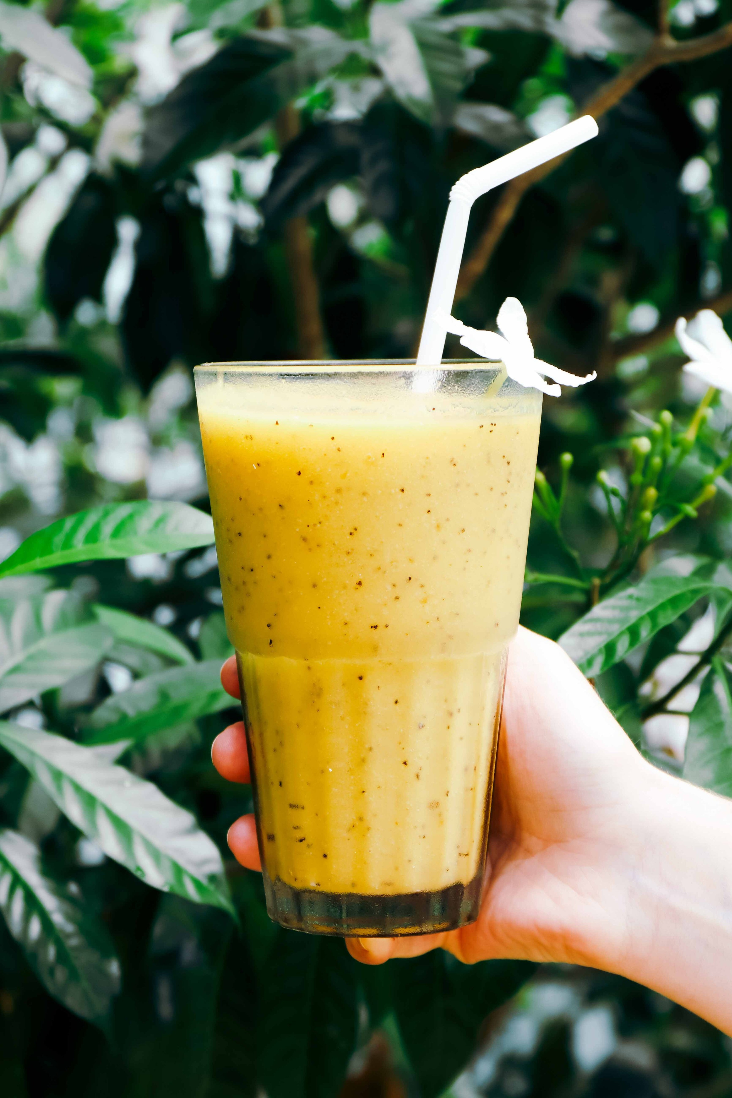 Ресторан в Аругам бей. Фотограф на Шри-Ланке