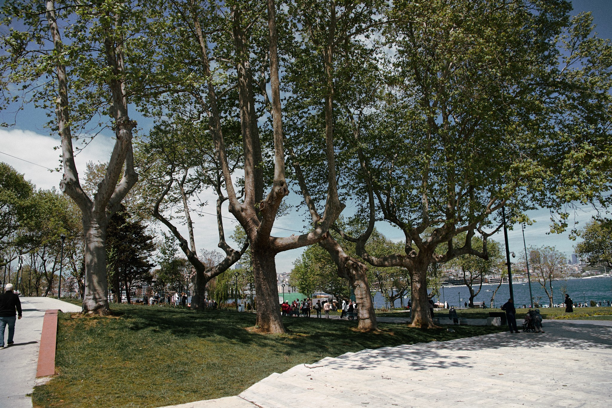 Улица горизонтальная. Jorgis — фотограф в Хургаде / обучение фотографии