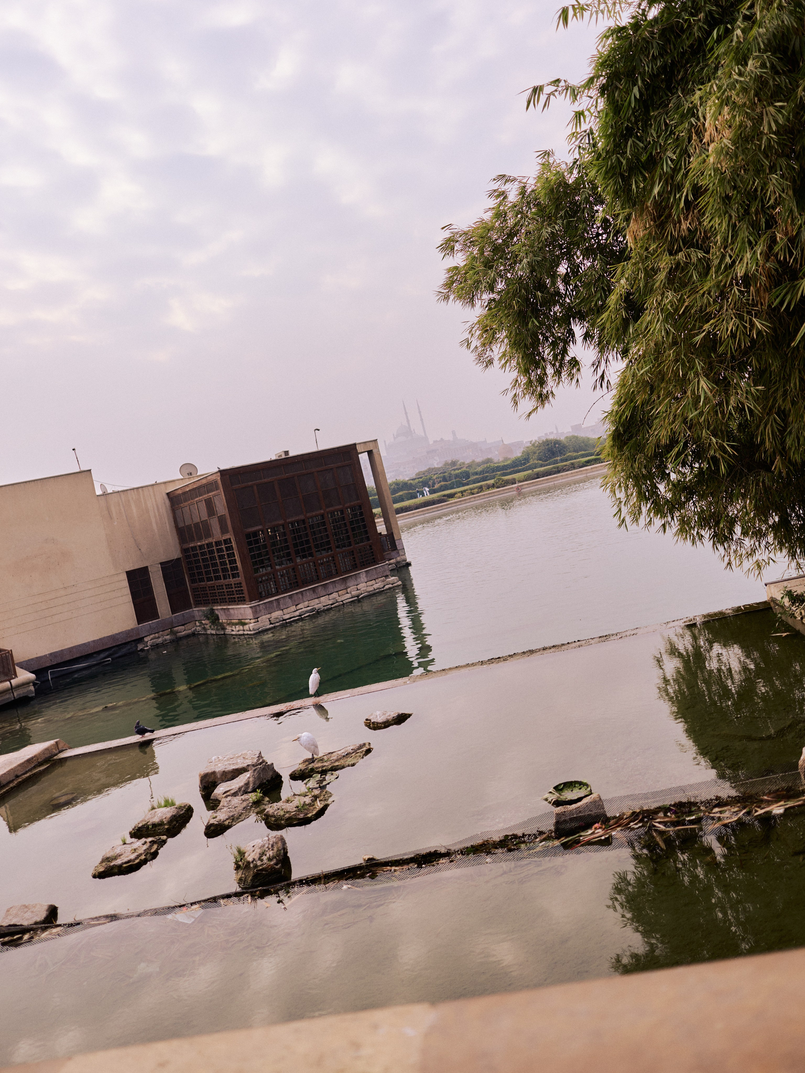 Другое 4. Jorgis — фотограф в Хургаде / обучение фотографии