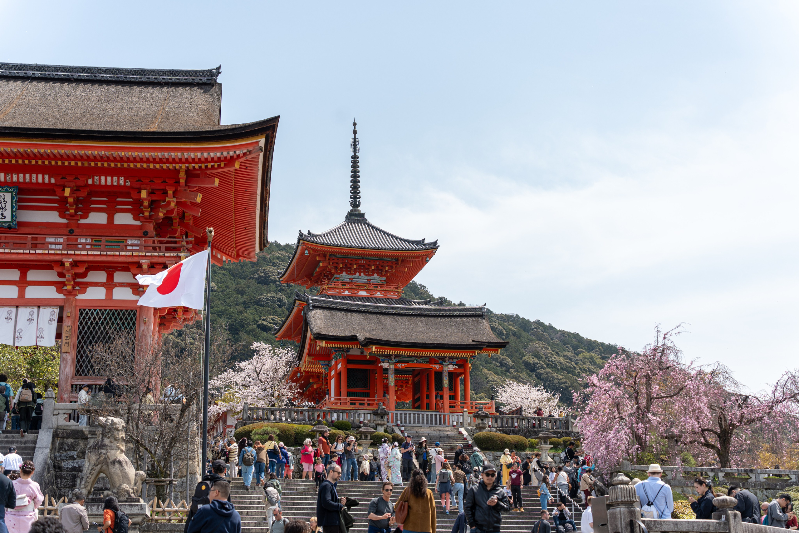 Япония, сакура. Творческие сьемки