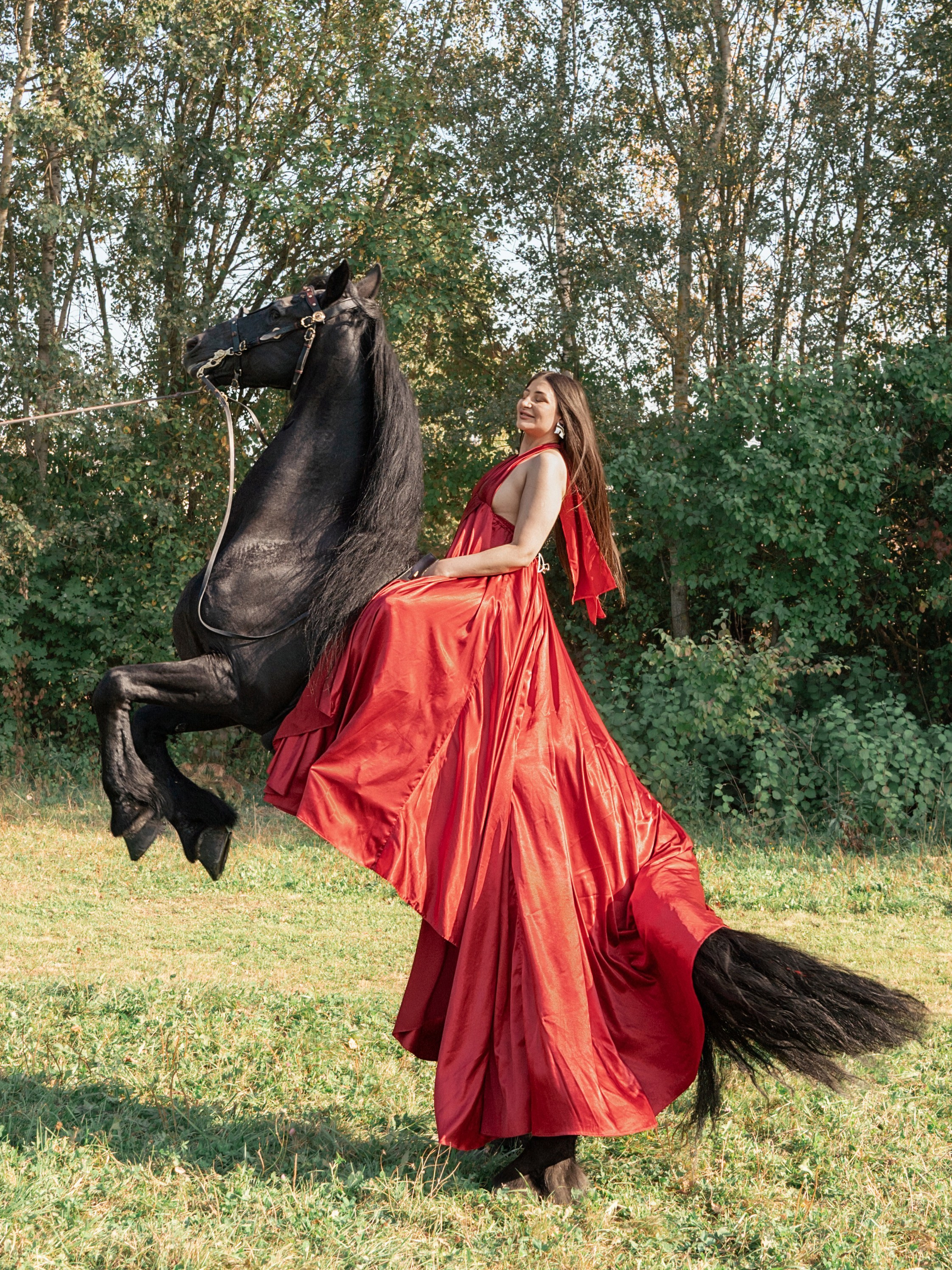 Лошадки Лето. Фотограф Зинаида Евдокимова