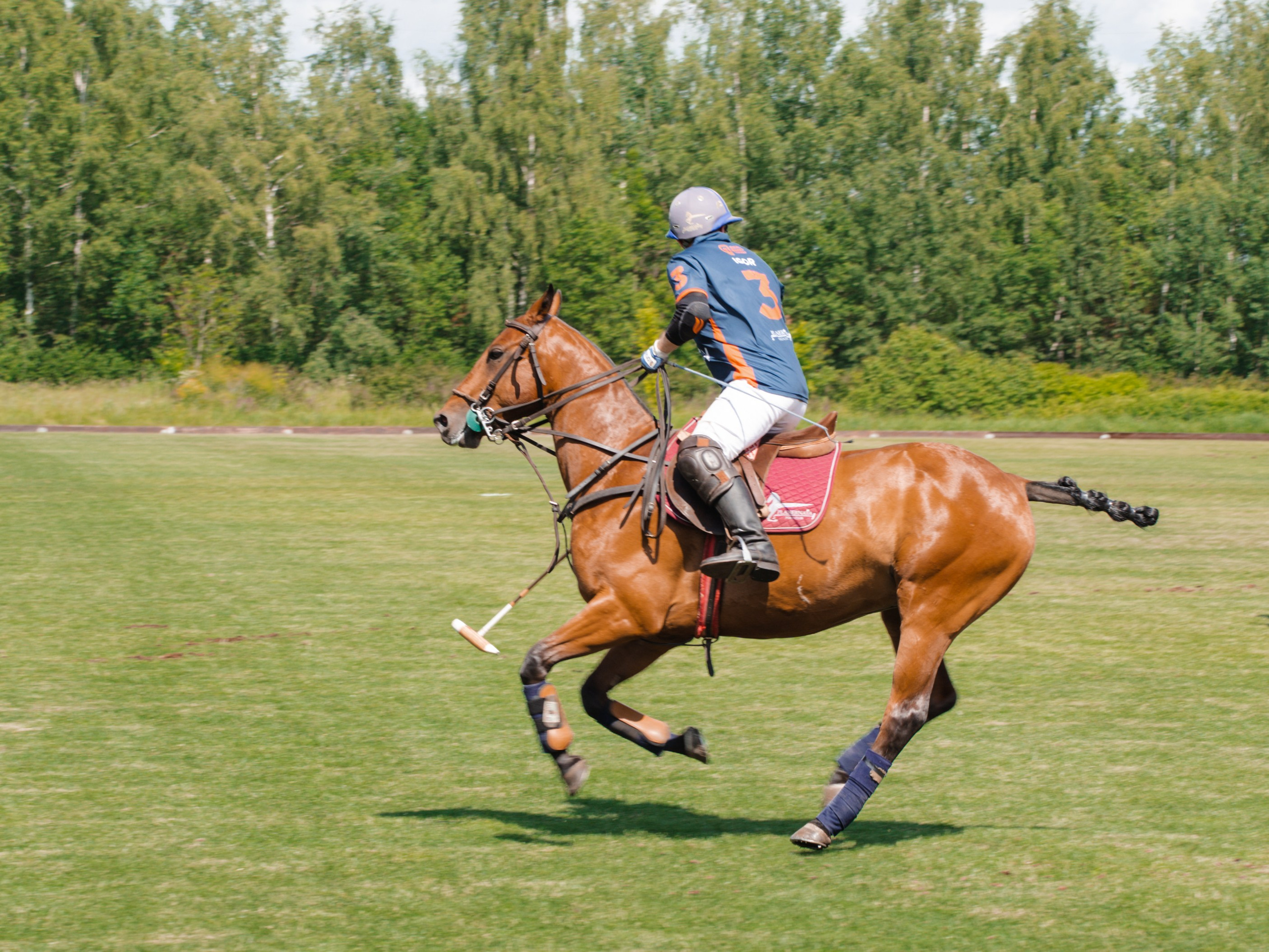 Конное поло. Фотограф Зинаида Евдокимова