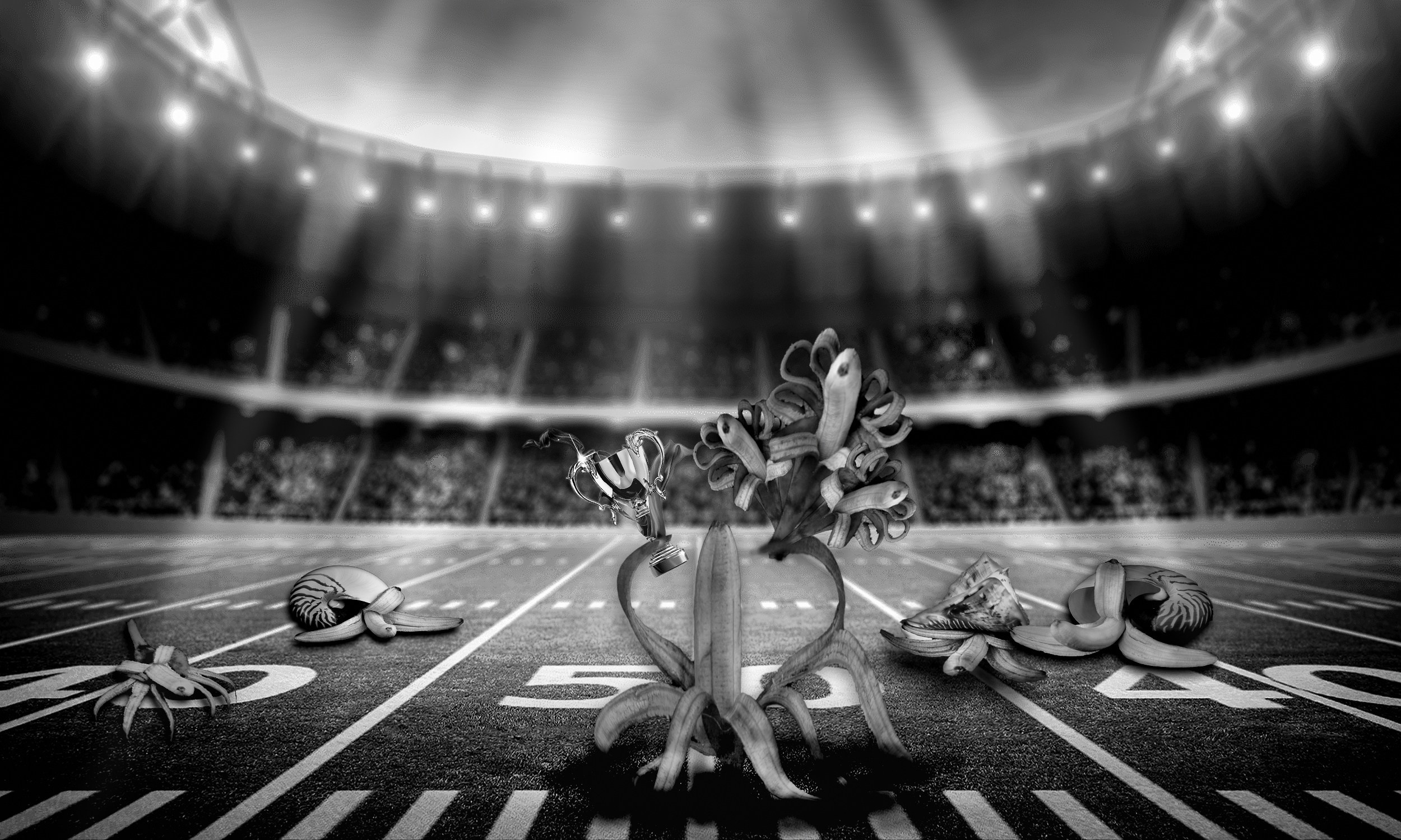 Идеи и передача через предметы. Медиапродюсер, фотограф в Минеральных Водах —Виктор Холодов