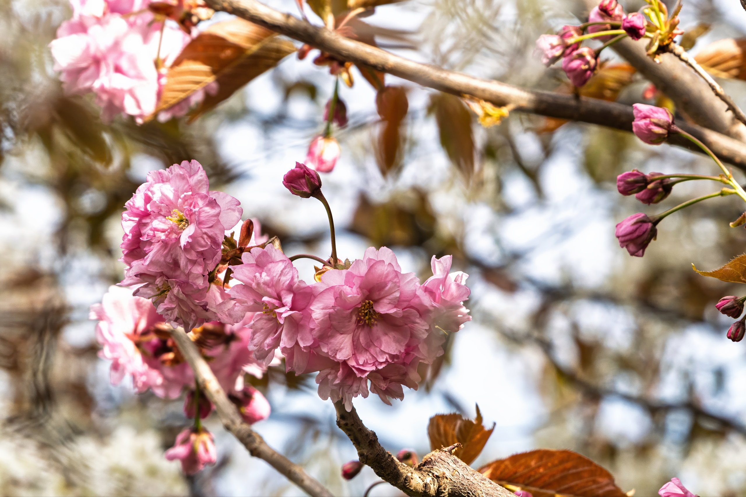Крым, Утес, 2021 год. Фотограф Никифоров-Гордеев Сергей. Москва и МО