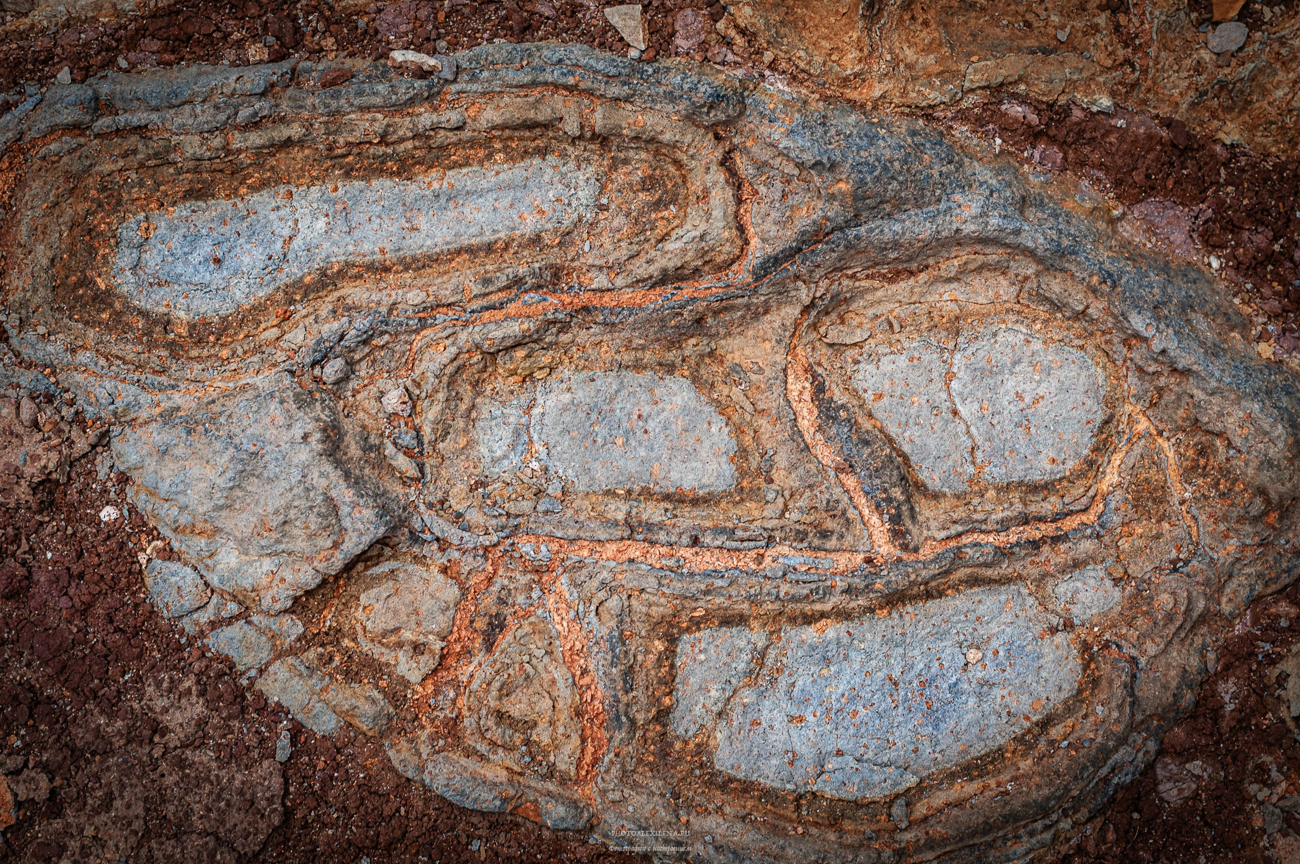 Осязаемая красота. Авторские стильные фотокартины