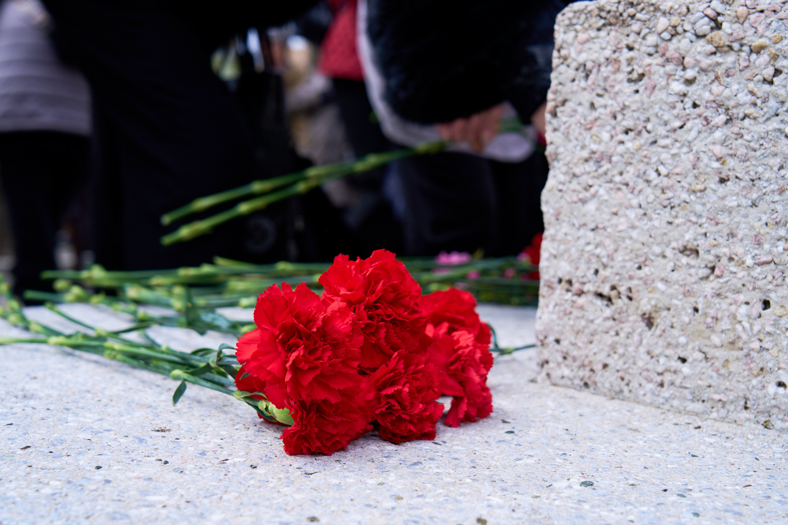 Памятное мероприятие приуроченное к 9 мая. Профессиональный репортажный фотограф Инесса Иминова