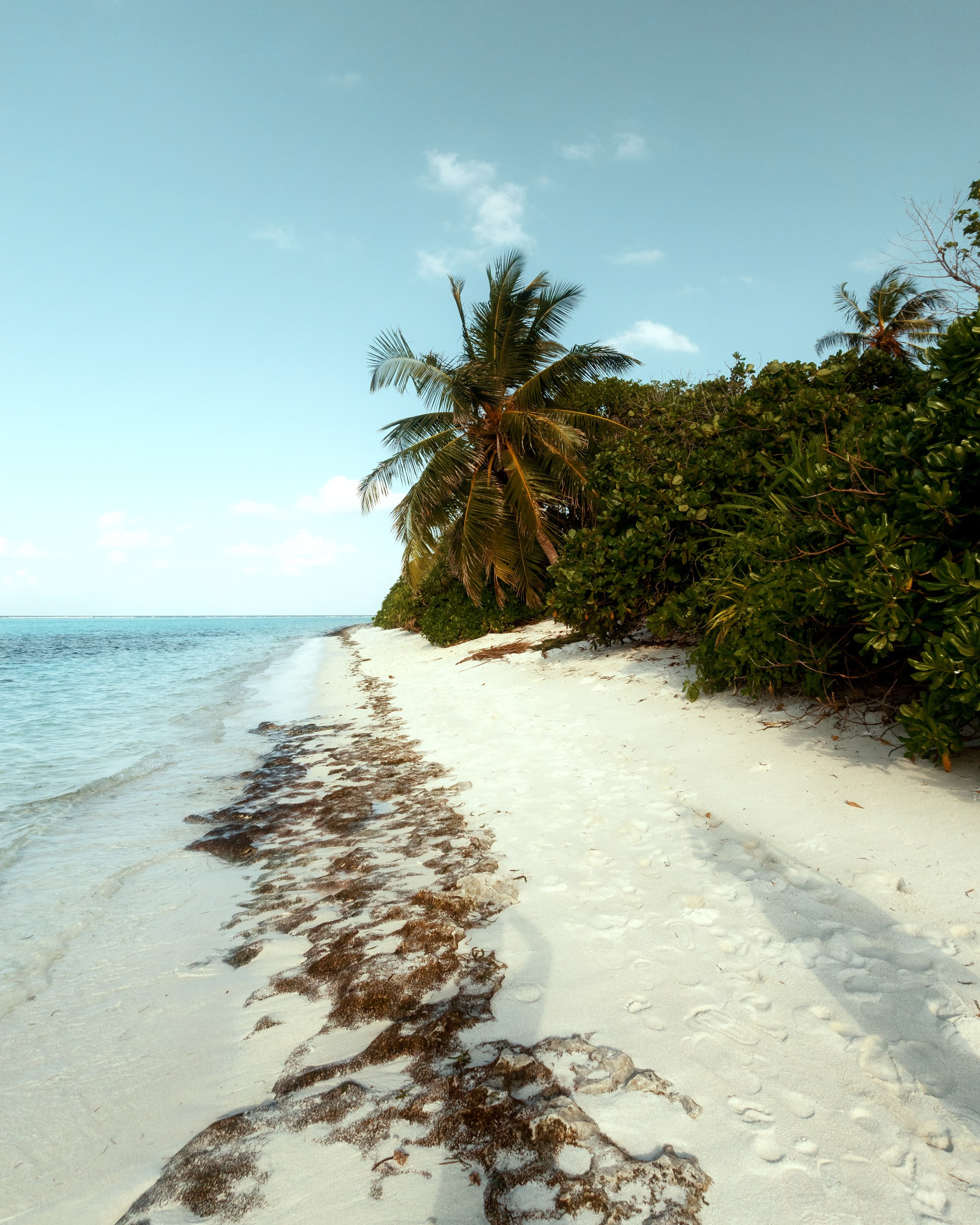 Ktokuda. Фотограф в Хабаровске. Фотография за 24 часа