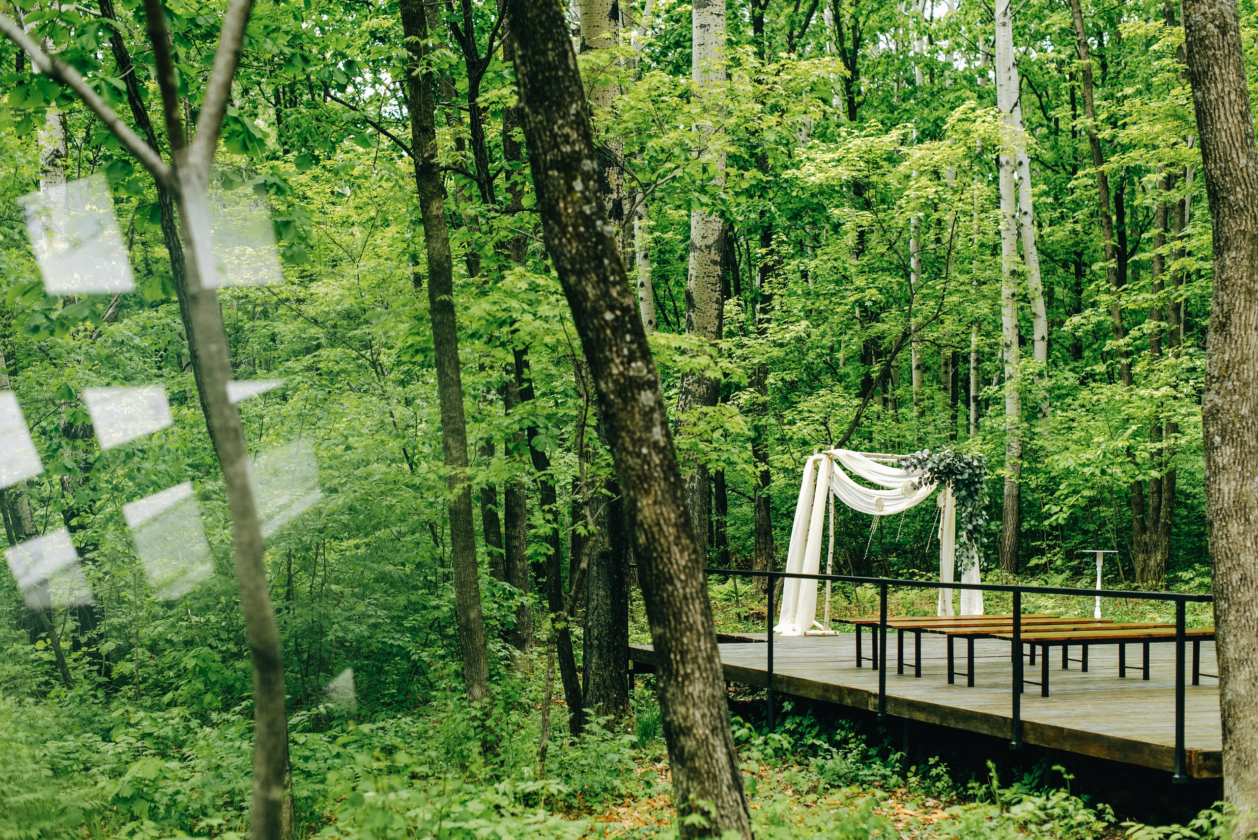 ГАЛЯ И РОМА. Шашкова Вероника / Свадебный и семейный фотограф Москва и Ярославль