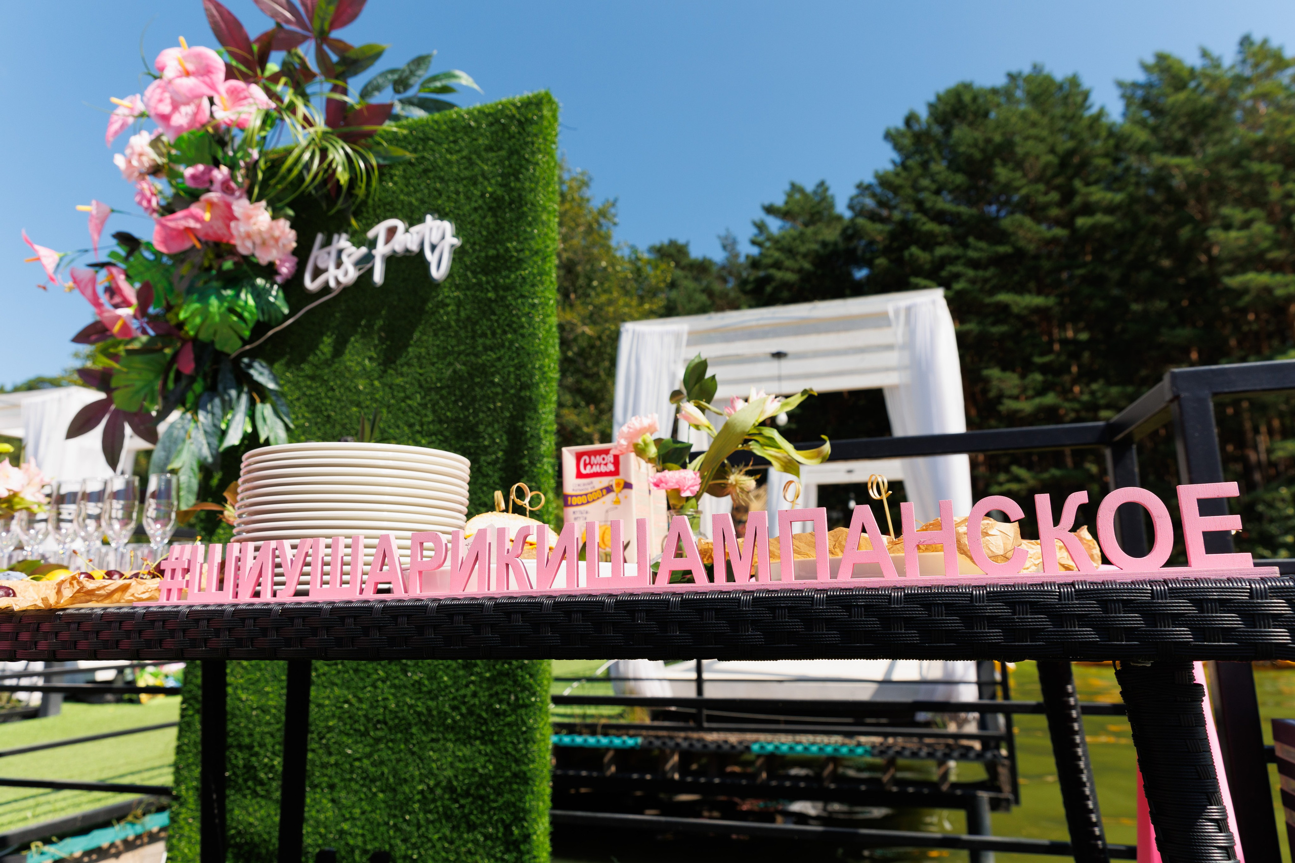 Летняя вечеринка декораторов ШИУ. Фотограф Новосибирск — Наталья Гресь