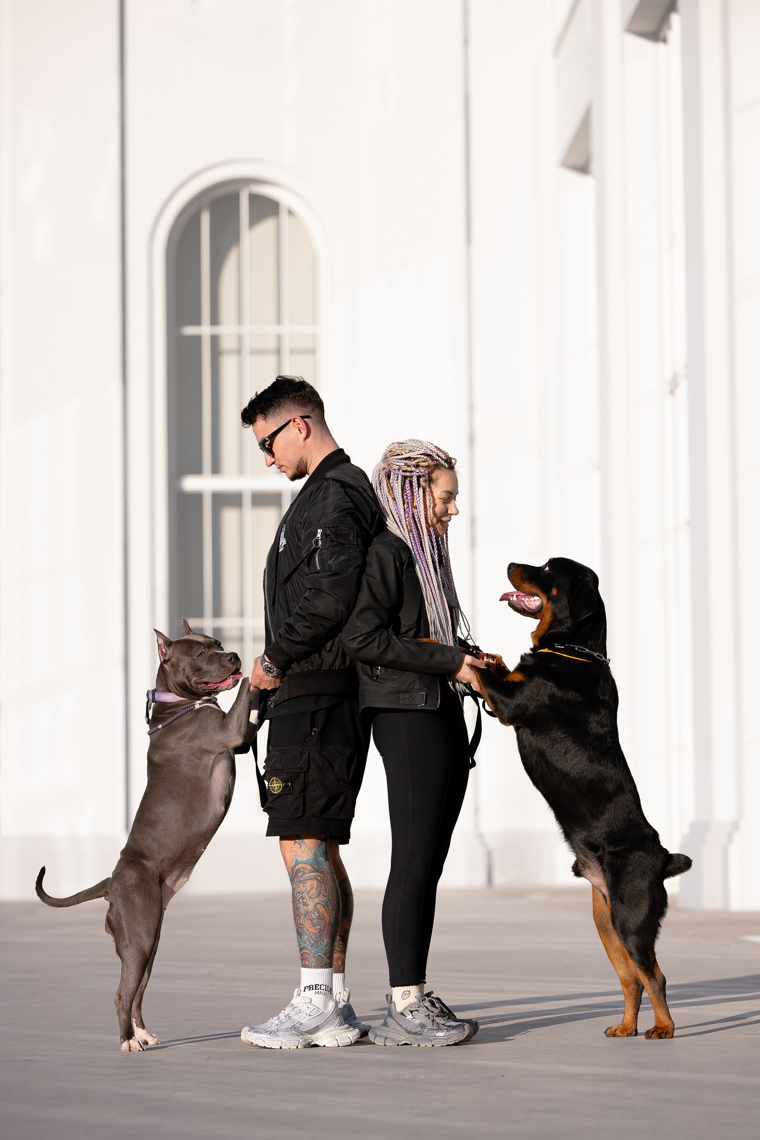 Катя, Леша, Трой и Лея. Фотограф и видеограф анималист Аганина Дарья