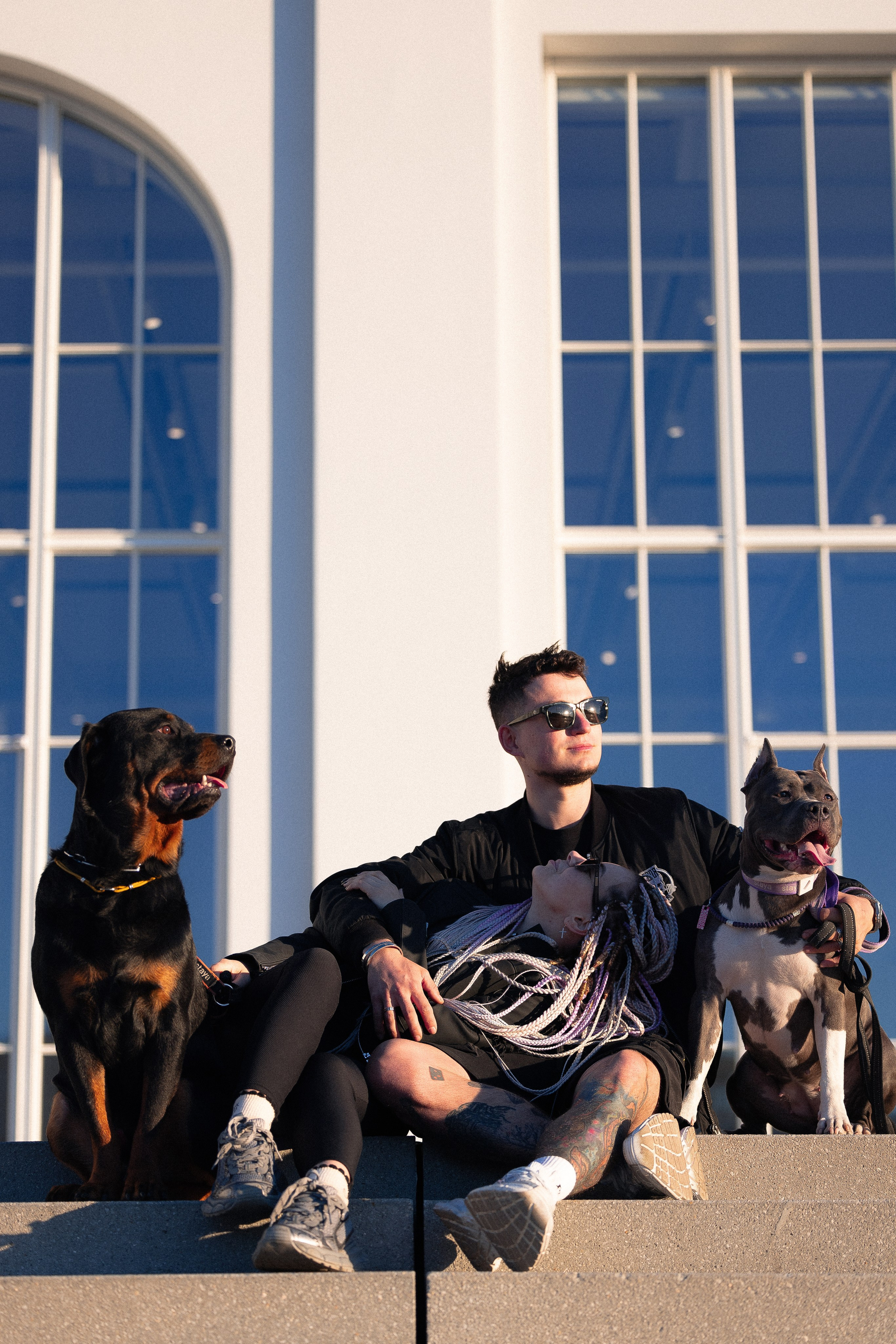 Катя, Леша, Трой и Лея. Фотограф и видеограф анималист Аганина Дарья