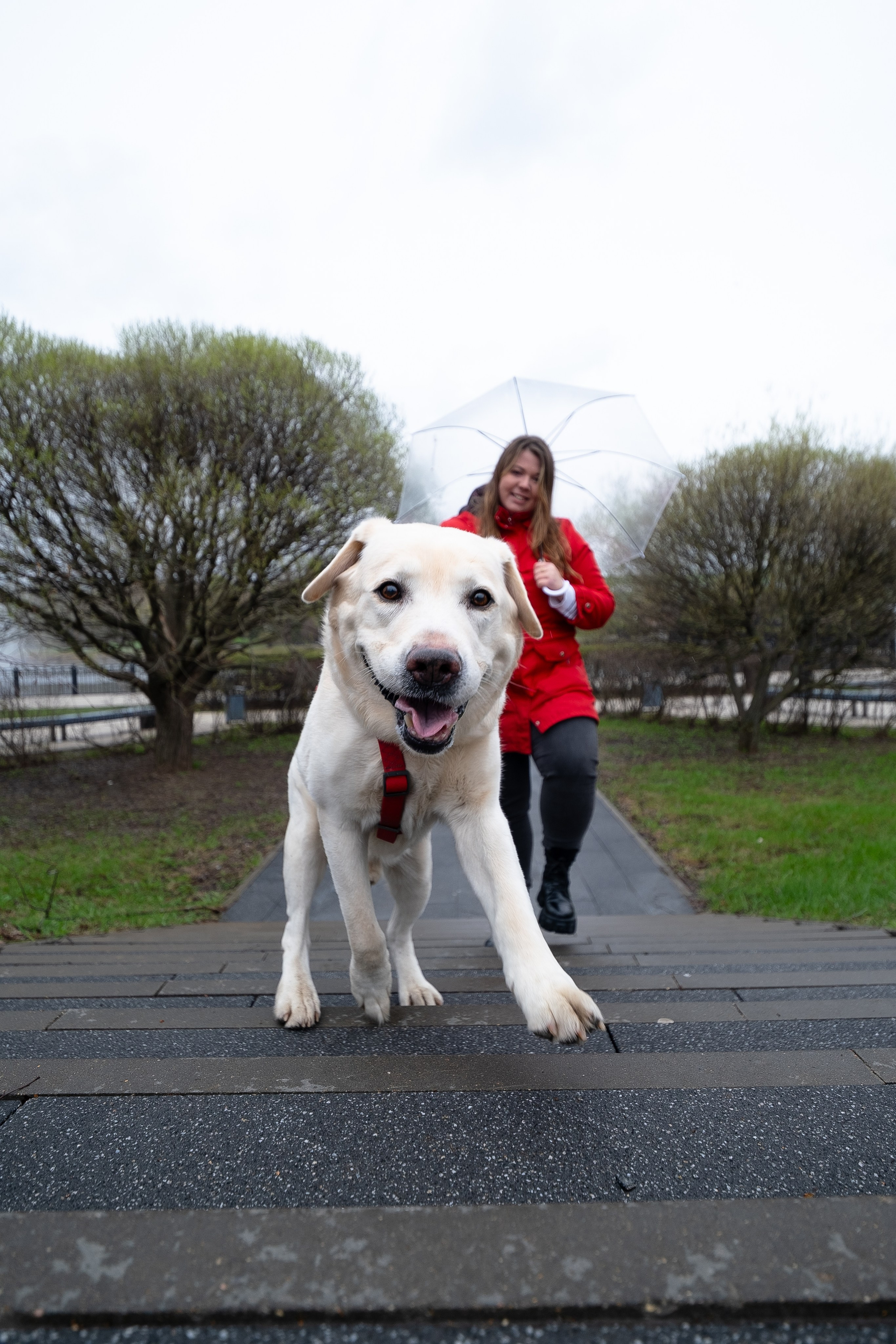 Света и Лето. Фотограф и видеограф анималист Аганина Дарья