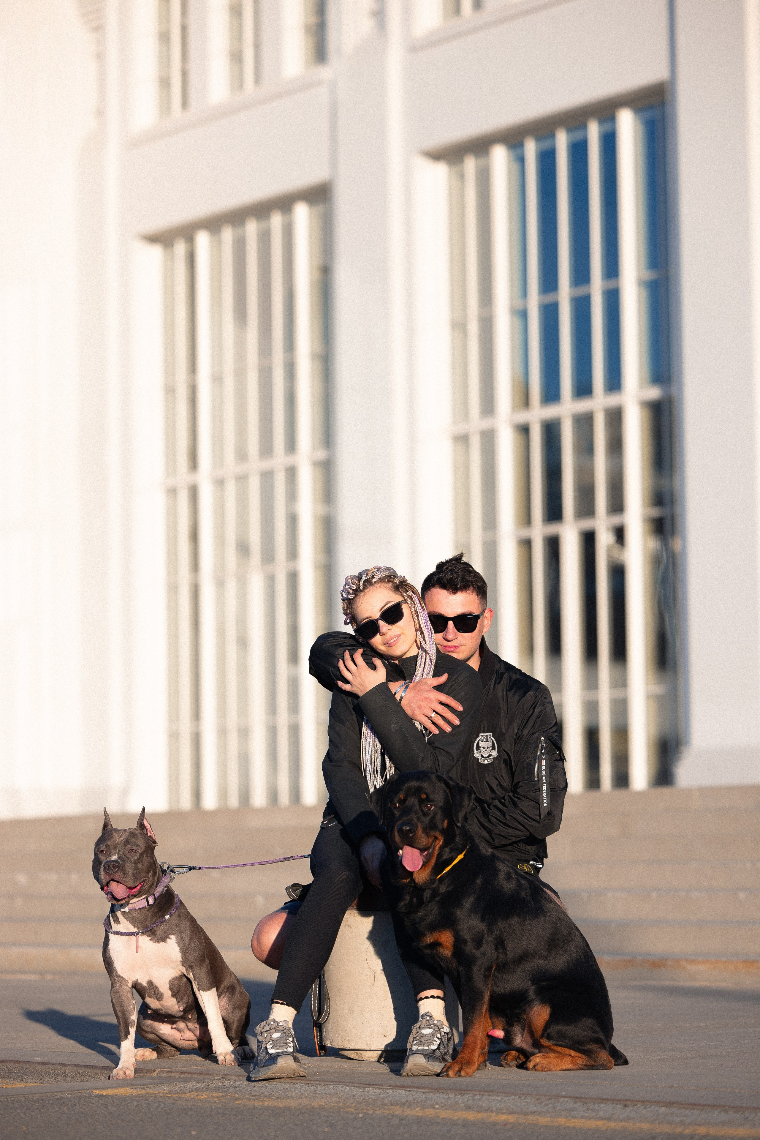 Катя, Леша, Трой и Лея. Фотограф и видеограф анималист Аганина Дарья