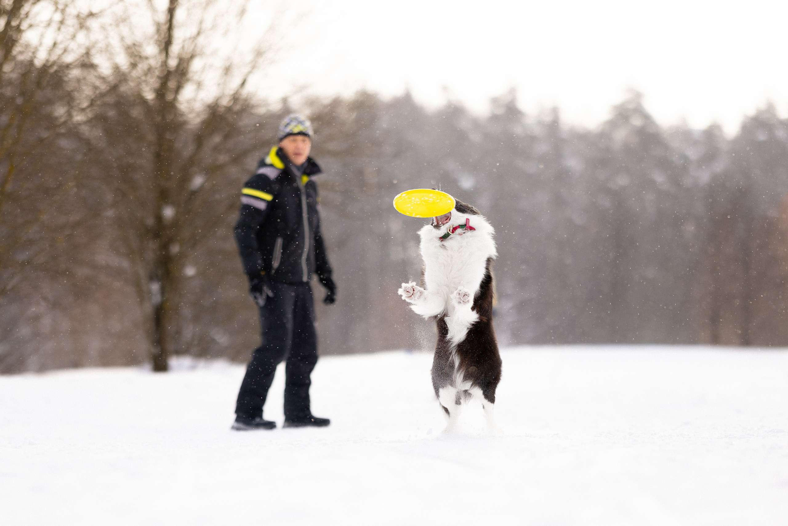Лилия, Алексей и Ариана. Фотограф и видеограф анималист Аганина Дарья