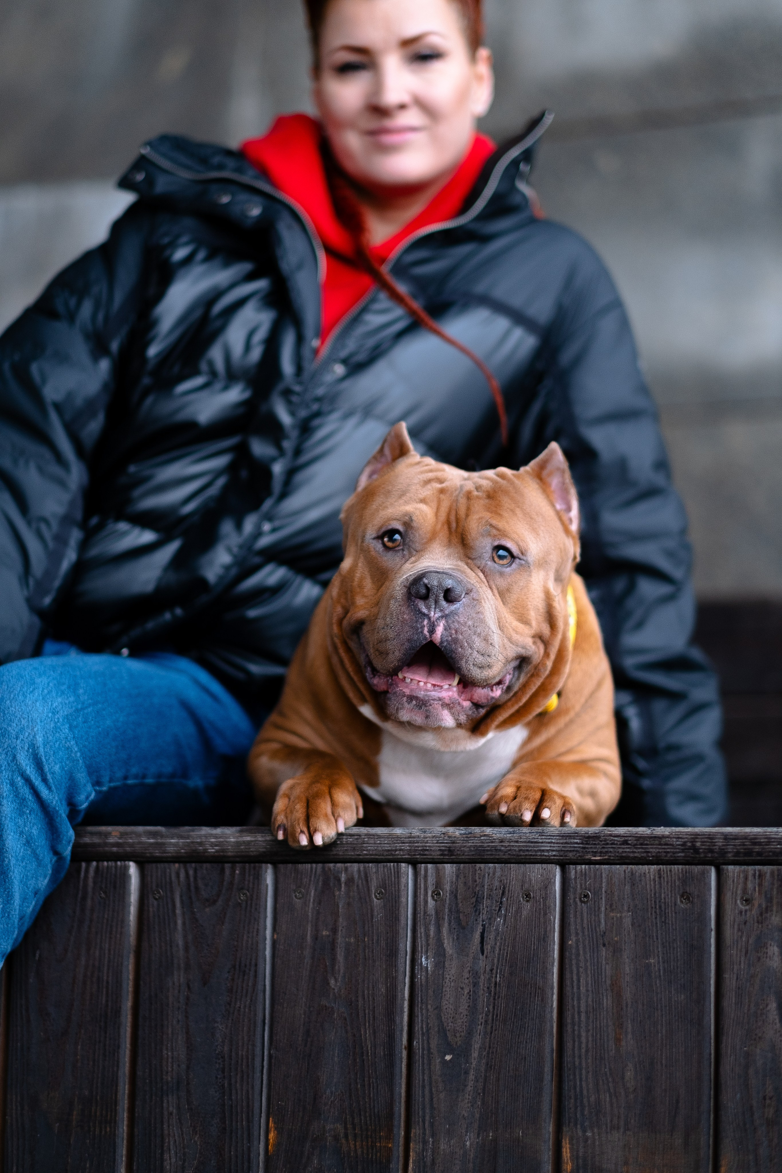 Спай и его семья. Фотограф и видеограф анималист Аганина Дарья